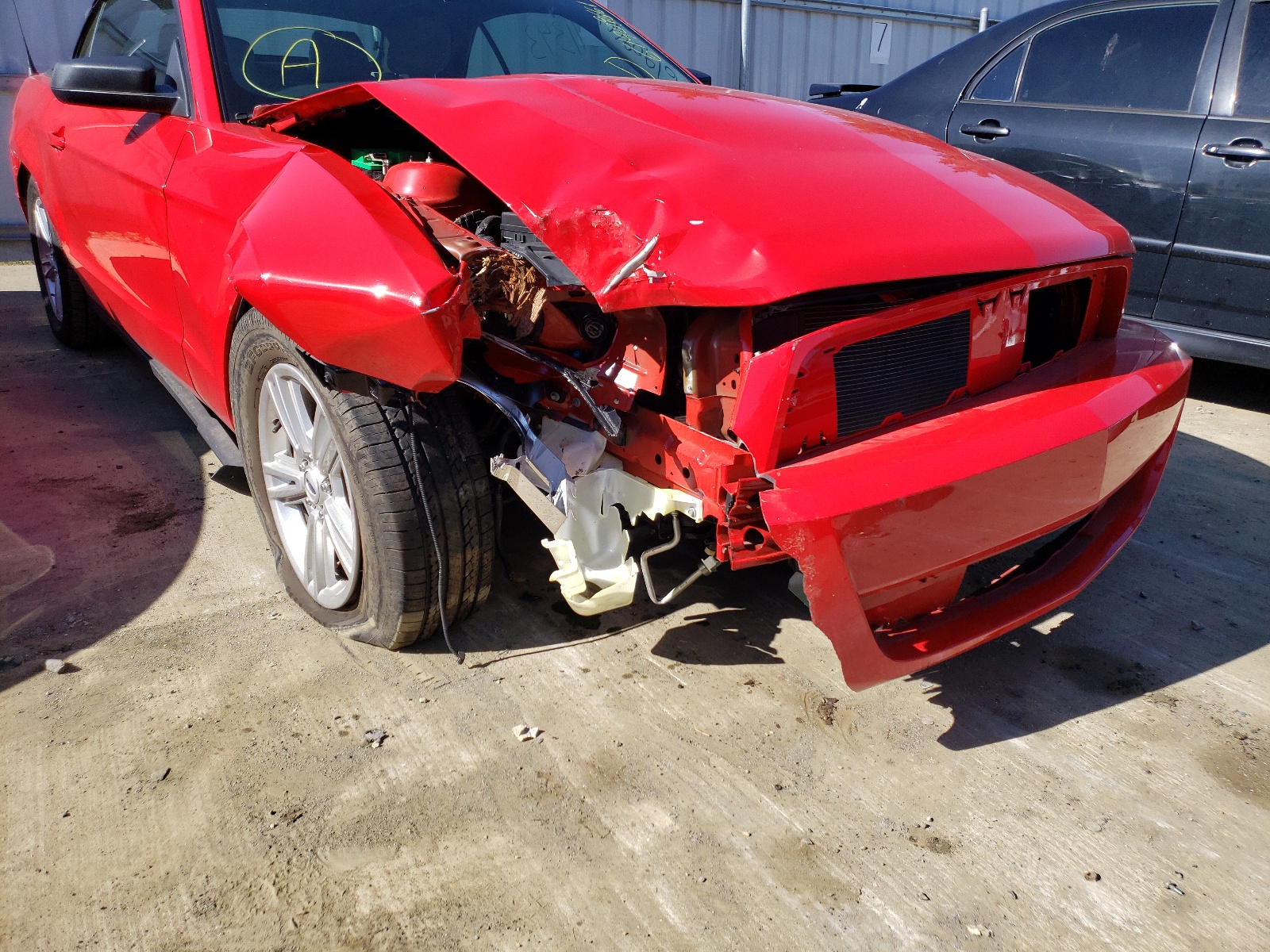 Photo 9 from auction – 2011 FORD MUSTANG with VIN 1ZVBP8EM0B5103257