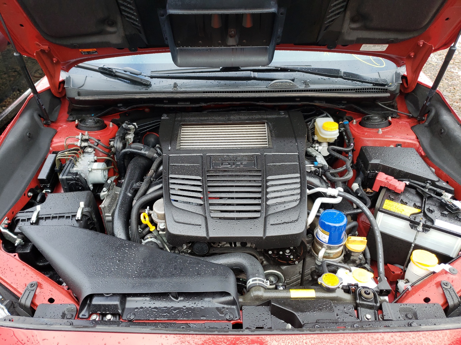 Photo 7 from auction – 2019 SUBARU WRX PREMIU with VIN JF1VA1F67K8813818