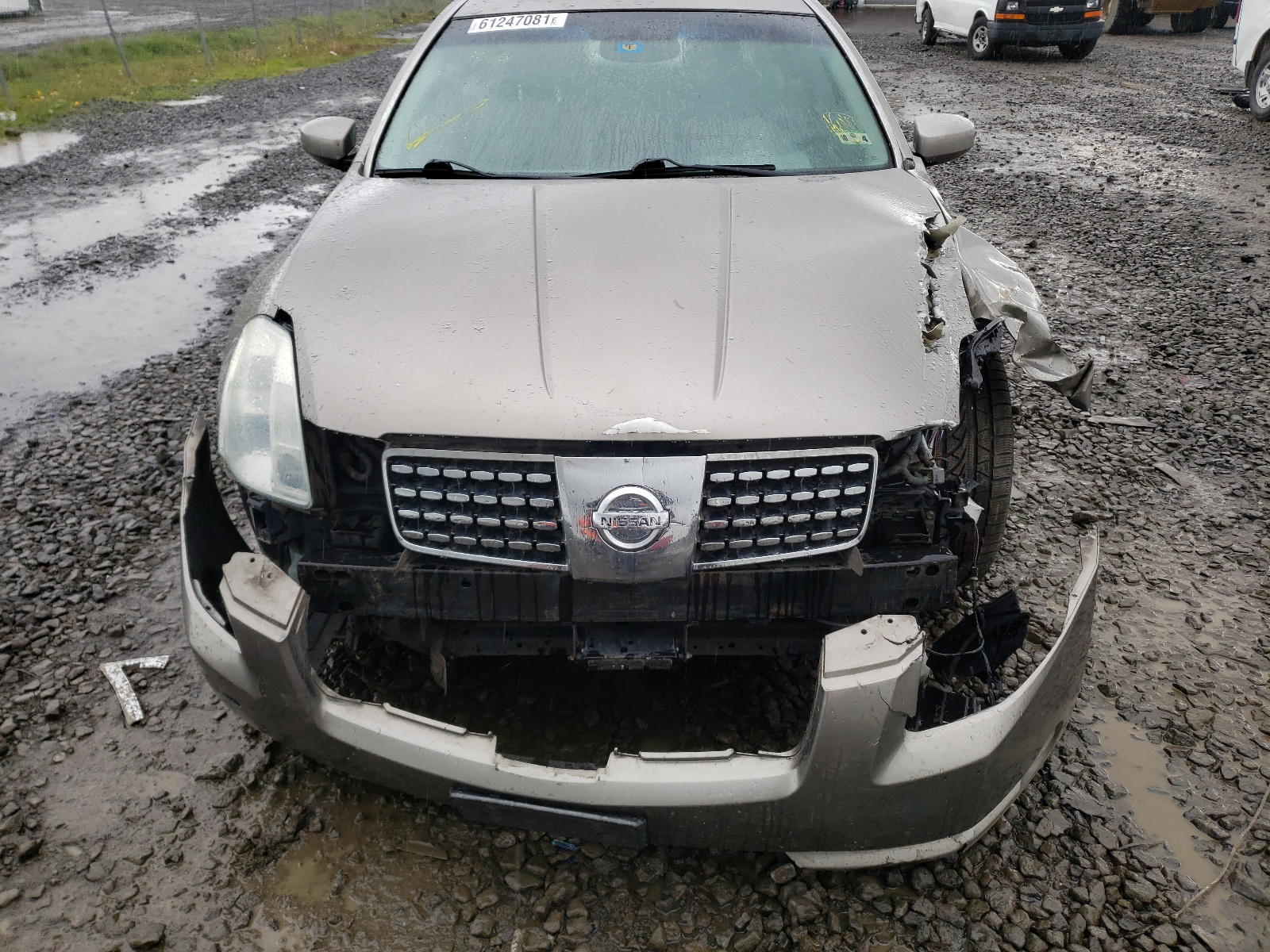 Photo 9 from auction – 2005 NISSAN MAXIMA SE with VIN 1N4BA41E95C843262
