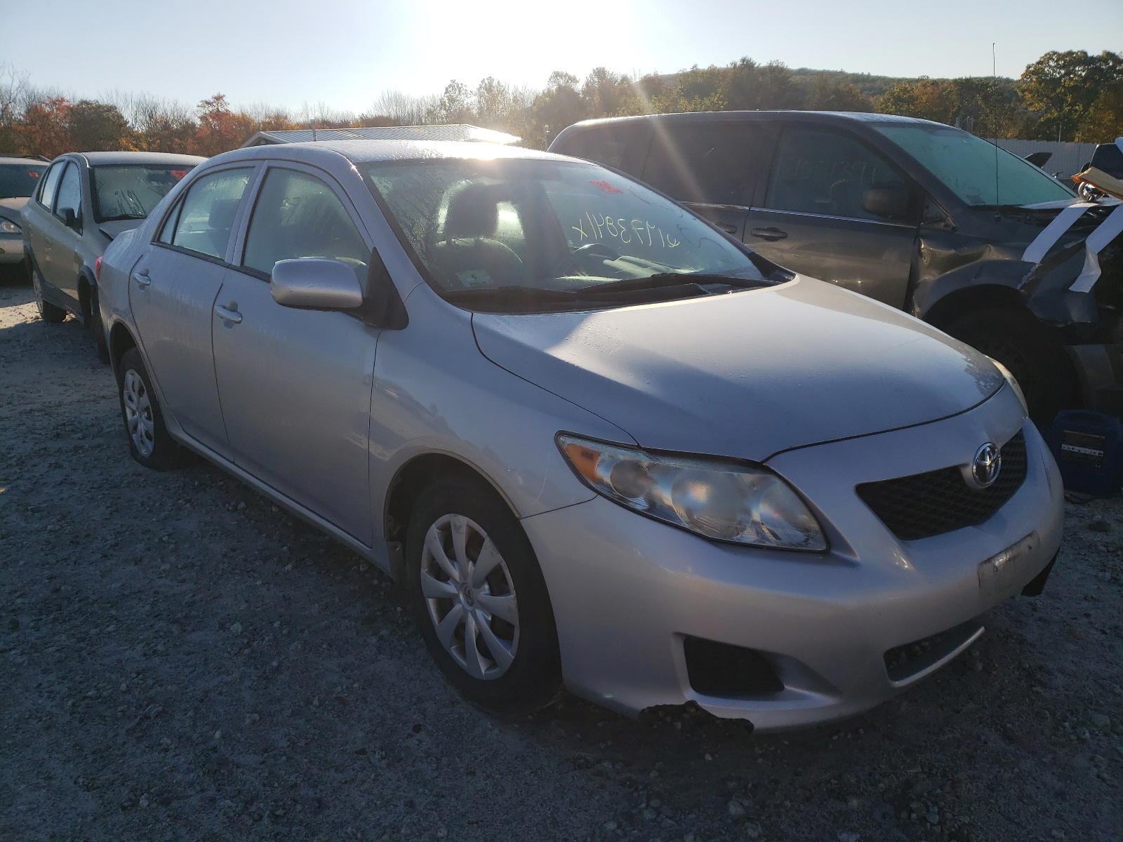 TOYOTA COROLLA BA 2010 with VIN 2T1BU4EE9AC308428 - Photo from auction