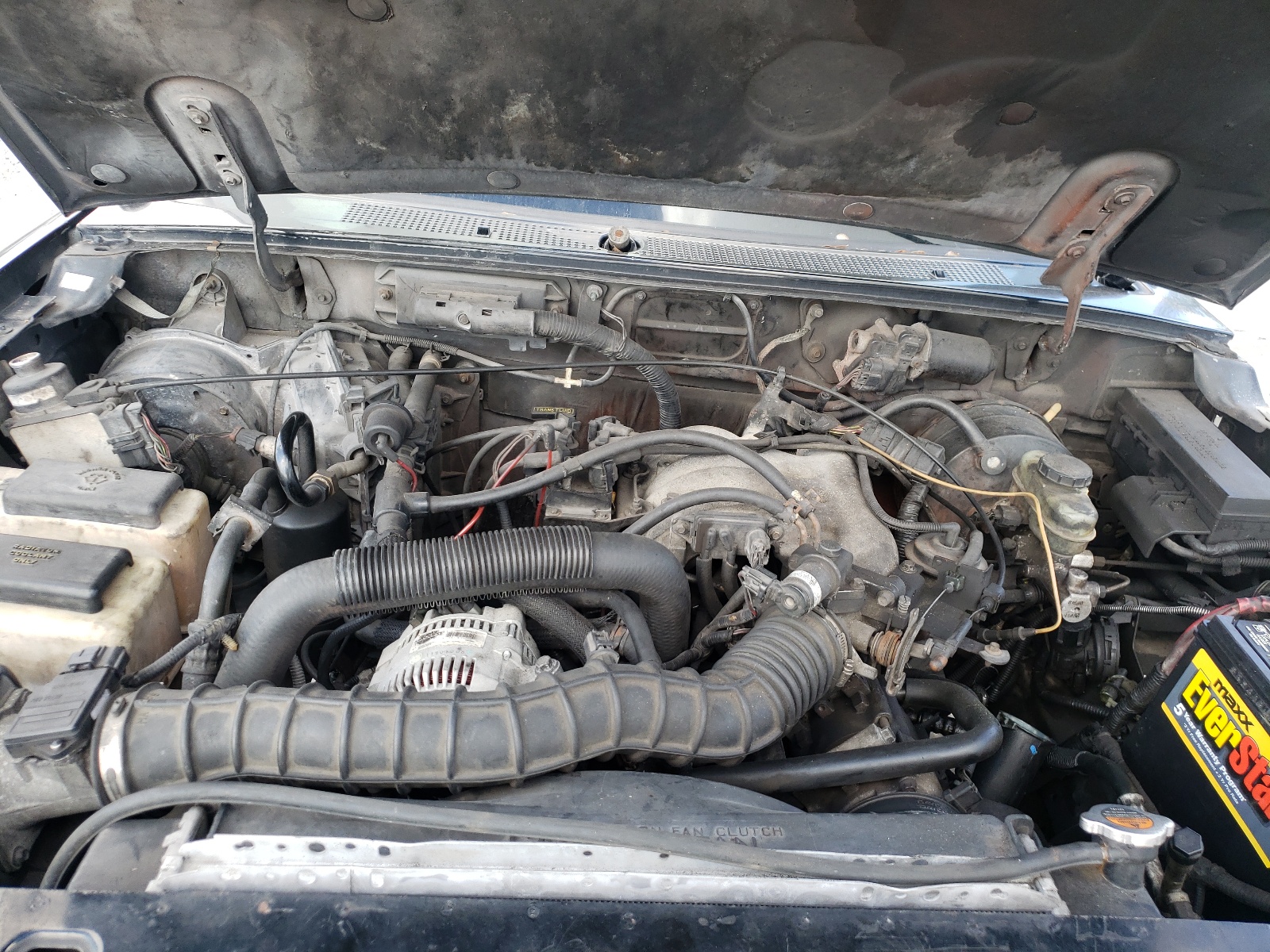 Photo 7 from auction – 1998 FORD RANGER SUP with VIN 1FTYR14U4WTA80020