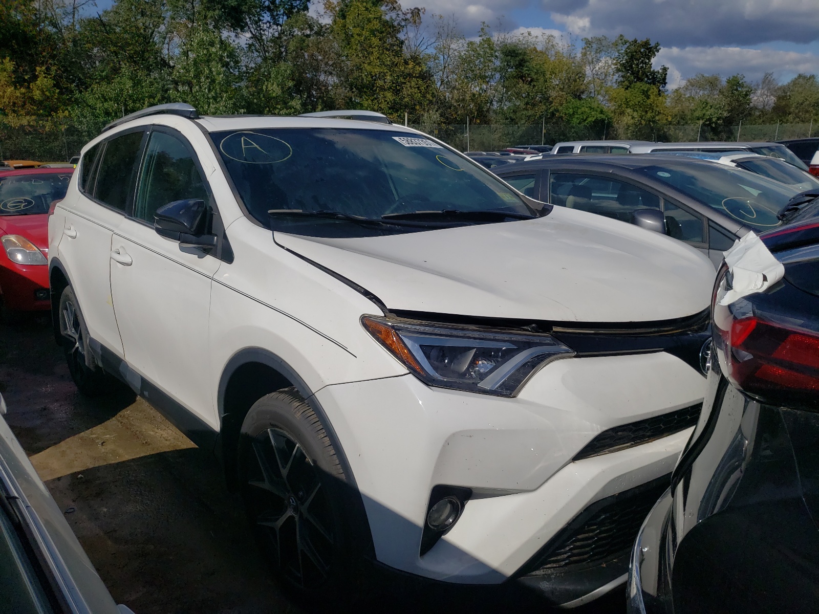 Photo 1 from auction – 2016 TOYOTA RAV4 SE with VIN 2T3JFREV5GW458327