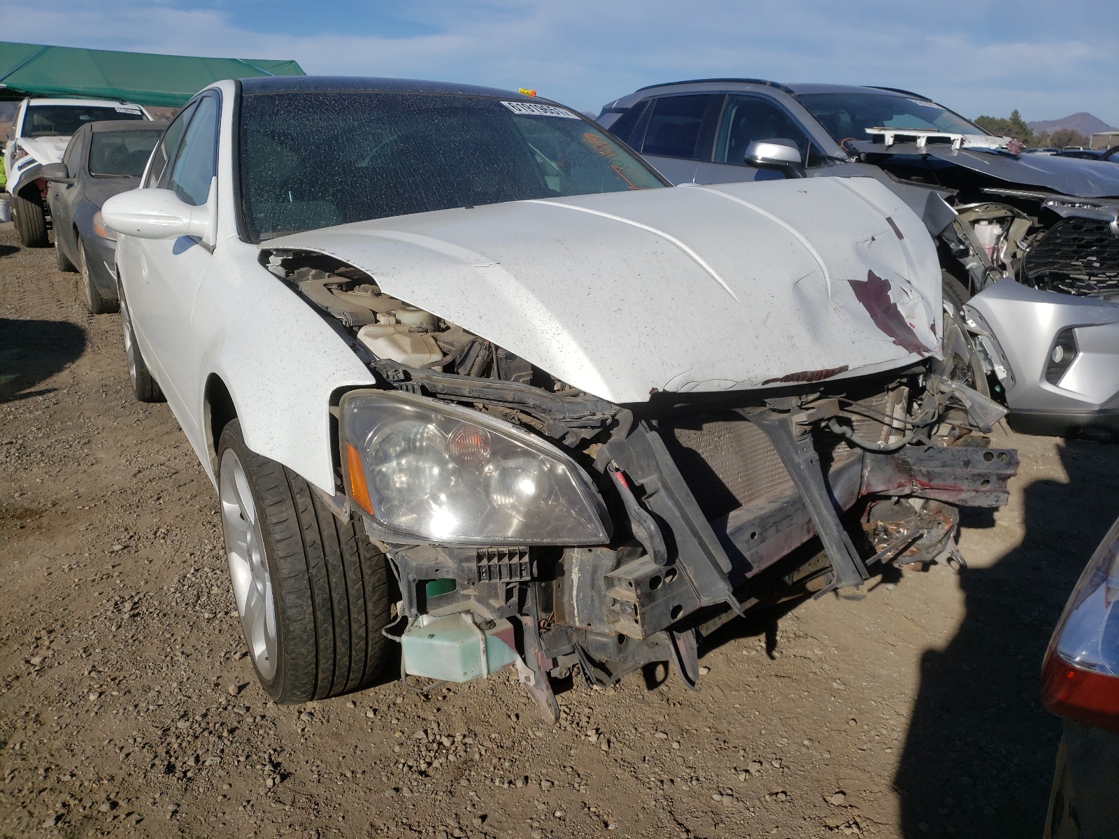 Photo 9 from auction – 2006 NISSAN ALTIMA with VIN 1N4AL11D36N306419