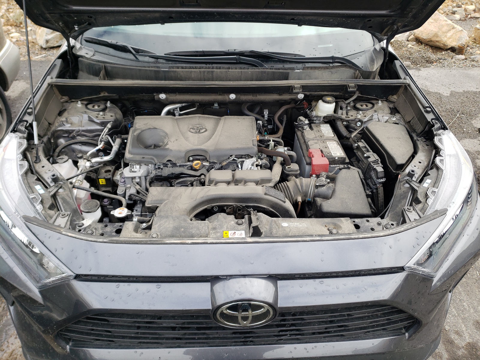Photo 7 from auction – 2021 TOYOTA RAV4 LE with VIN 2T3F1RFV9MC152473