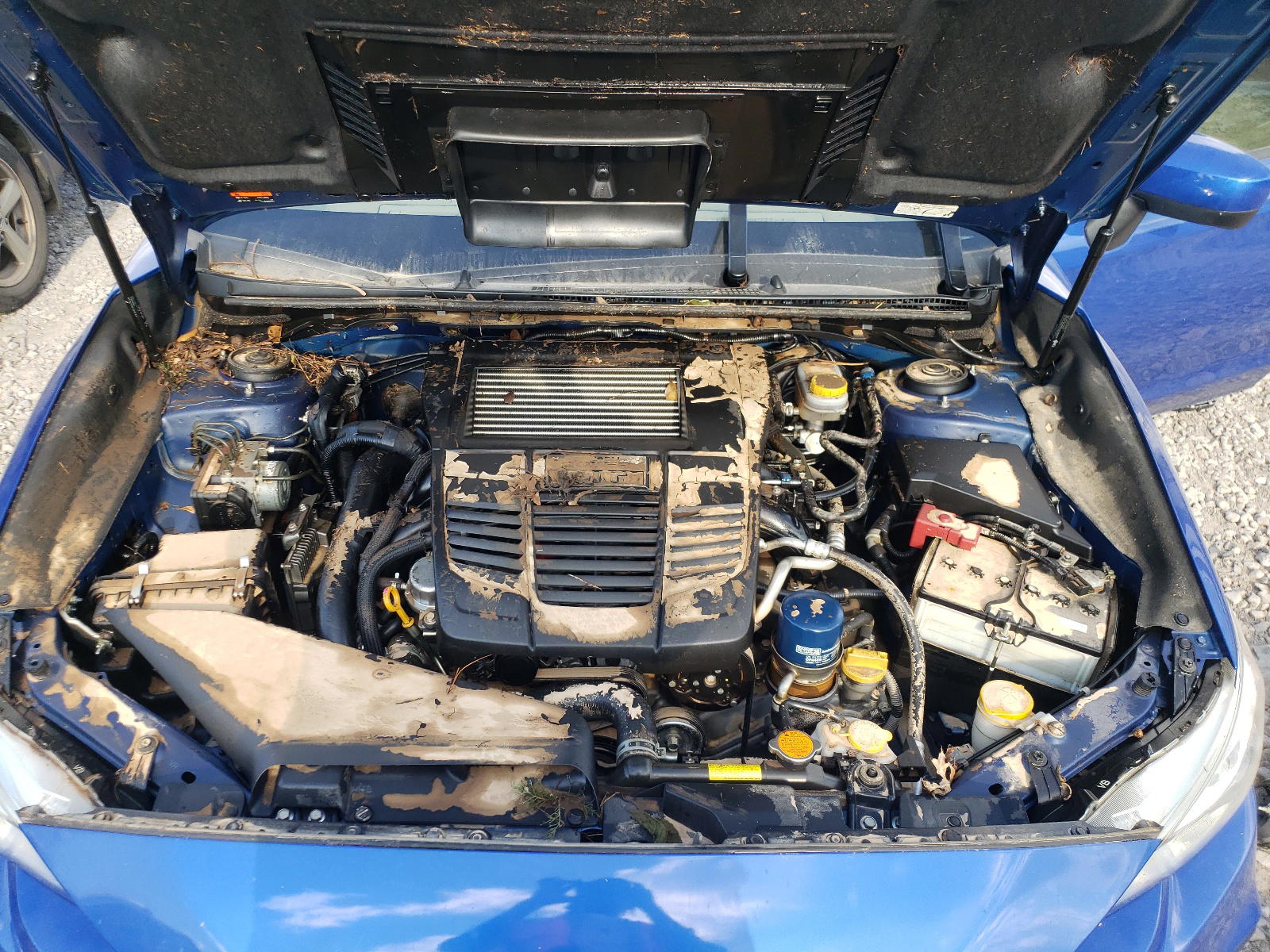 Photo 7 from auction – 2019 SUBARU WRX with VIN JF1VA1A62K9823819