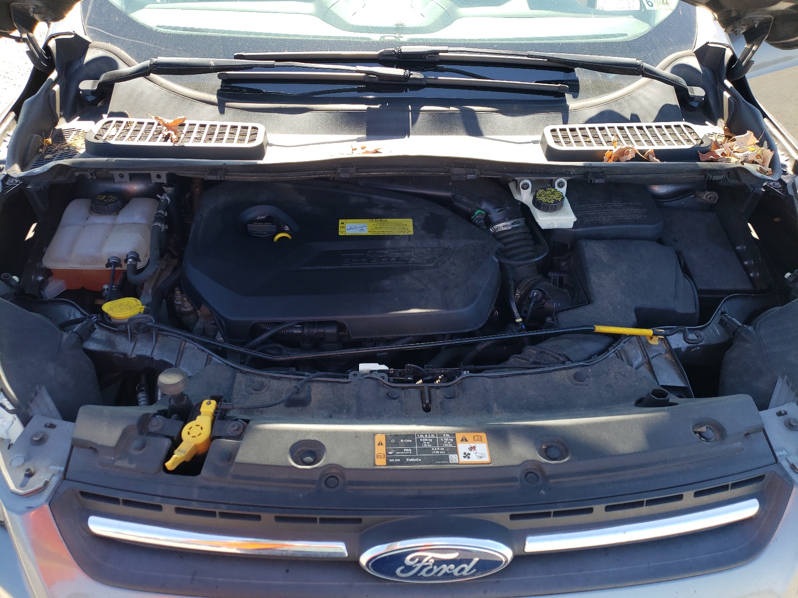 Photo 7 from auction – 2014 FORD ESCAPE SE with VIN 1FMCU0GX3EUB81434