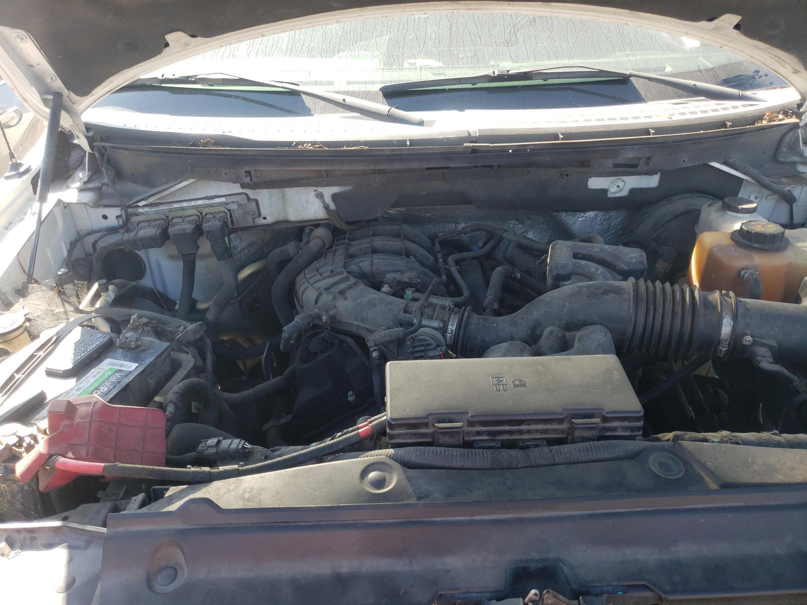 Photo 7 from auction – 2011 FORD F150 with VIN 1FTMF1CM5BKD83820
