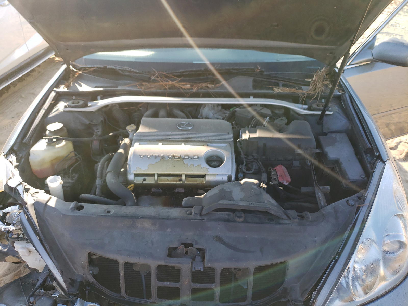 Photo 7 from auction – 2006 LEXUS ES 330 with VIN JTHBA30GX65155105