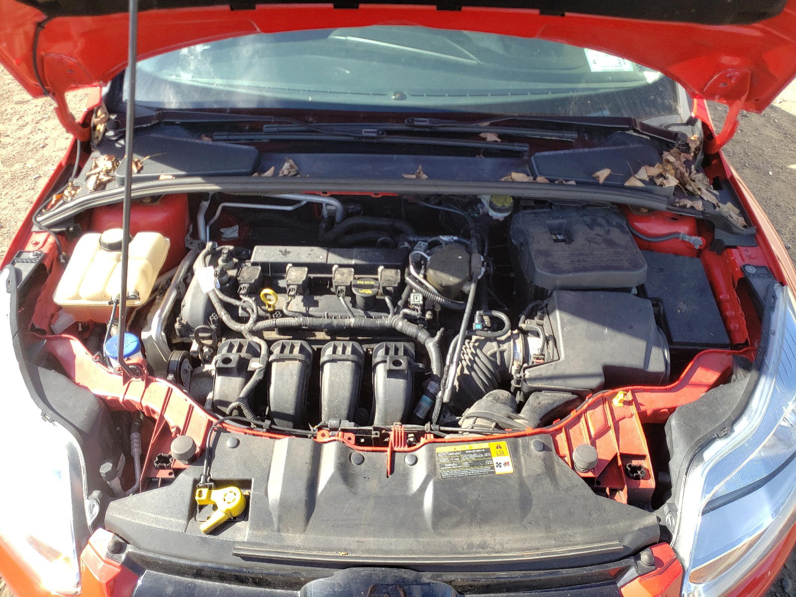 Photo 7 from auction – 2012 FORD FOCUS SEL with VIN 1FAHP3H22CL219136