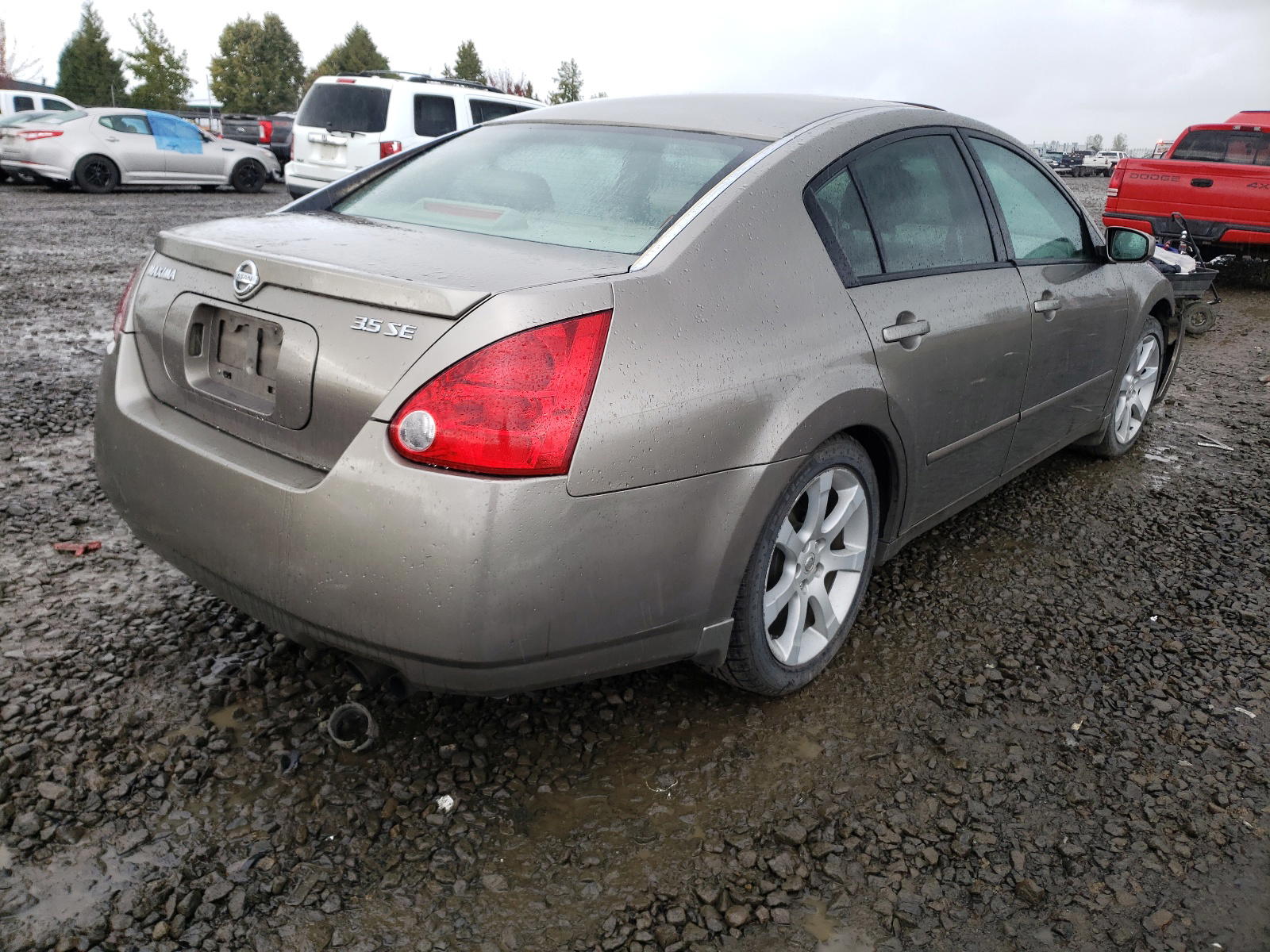 Photo 4 from auction – 2005 NISSAN MAXIMA SE with VIN 1N4BA41E95C843262