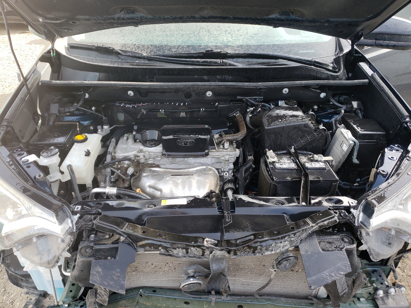 Photo 7 from auction – 2017 TOYOTA RAV4 LE with VIN 2T3BFREV8HW577527