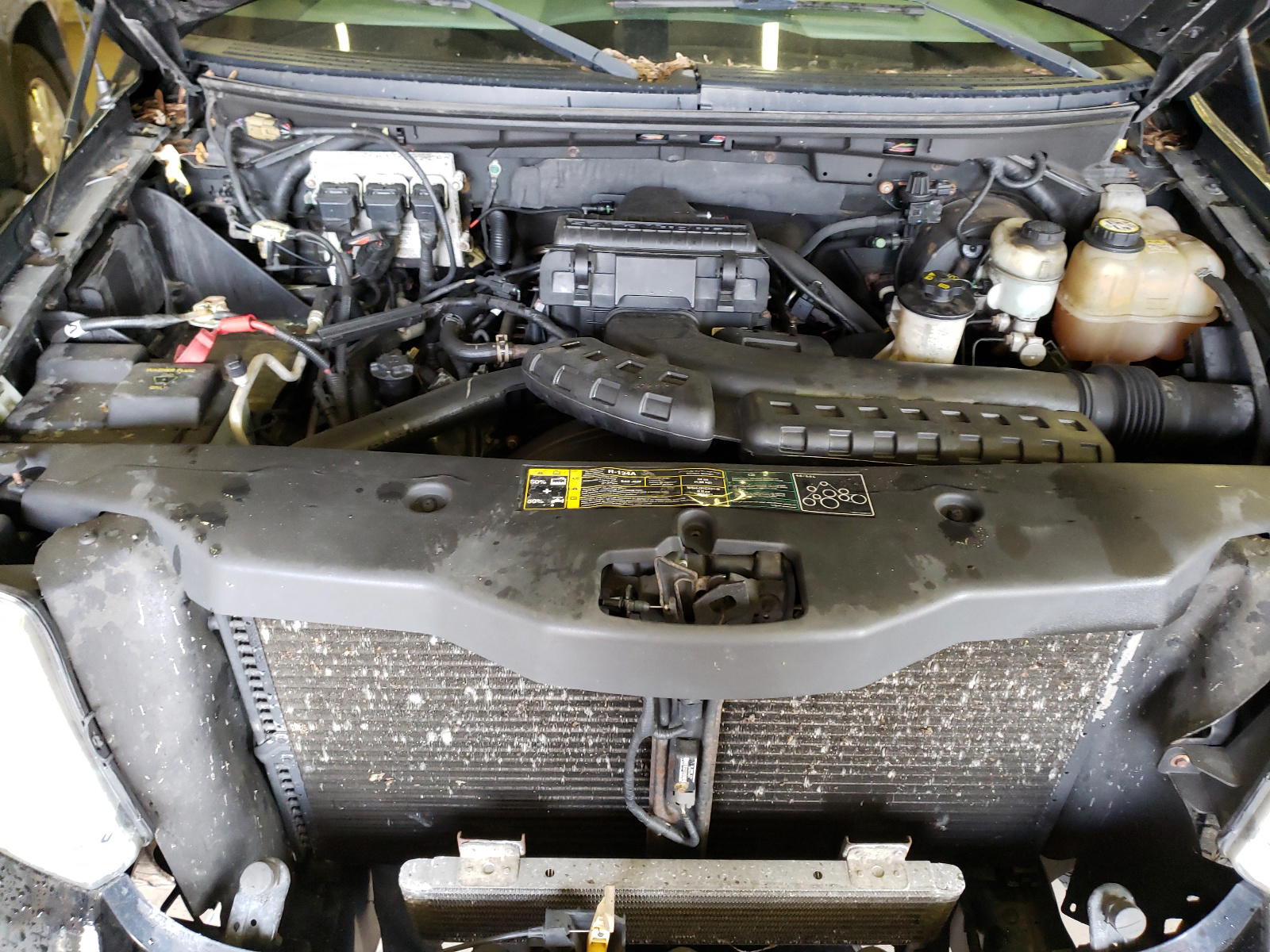 Photo 7 from auction – 2004 FORD F150 SUPER with VIN 1FTPW14554FA12656
