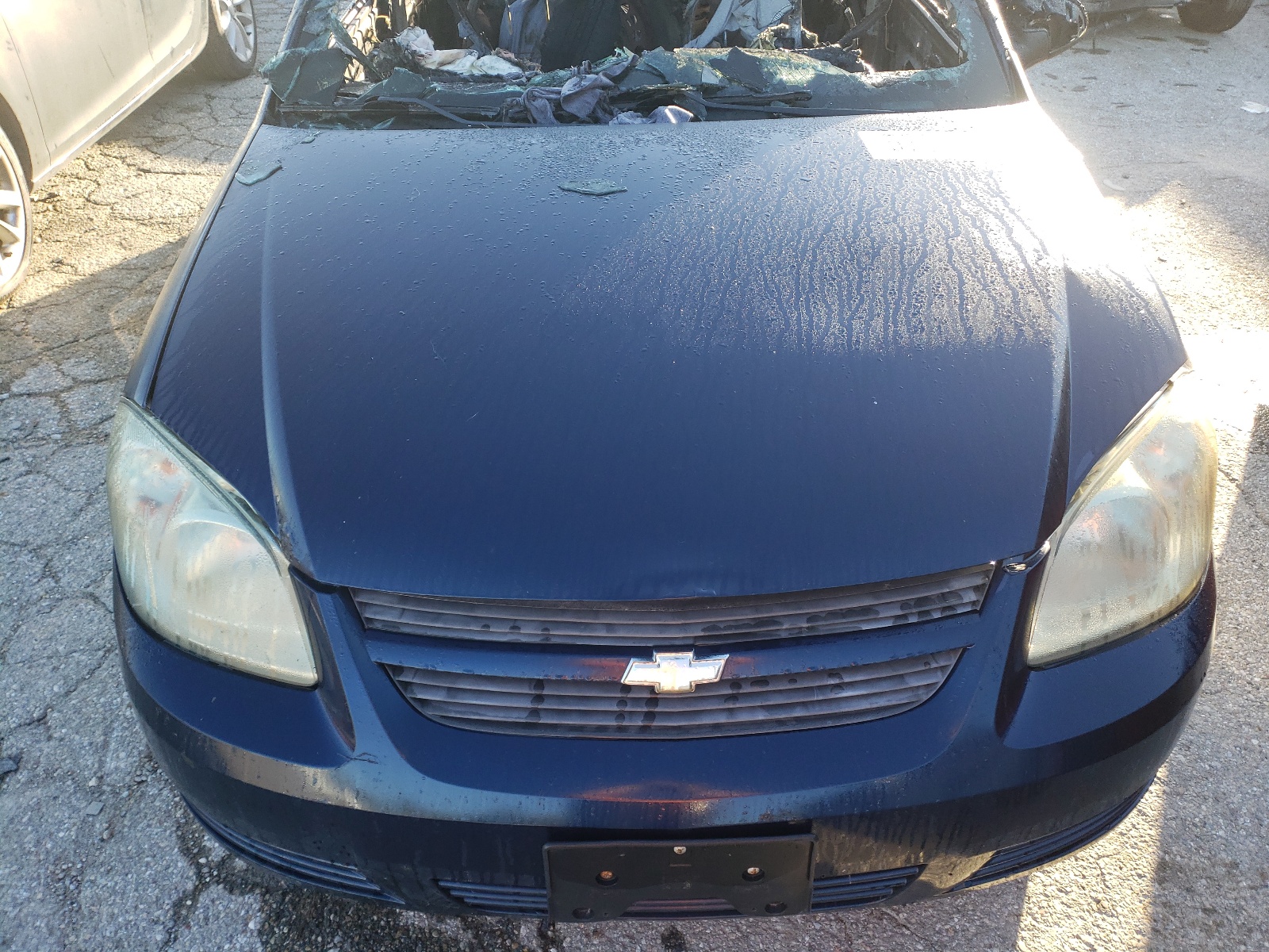 Photo 7 from auction – 2010 CHEVROLET COBALT 1LT with VIN 1G1AD5F55A7116496