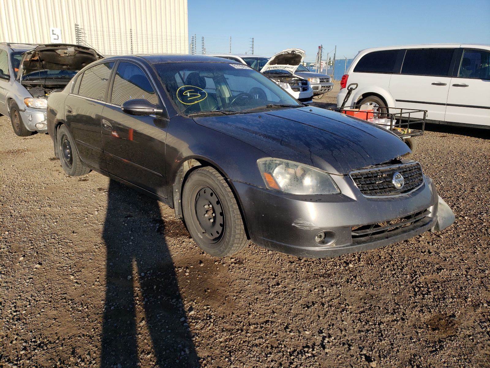 NISSAN ALTIMA SE 2006 with VIN 1N4BL11E06C198379 - Photo from auction