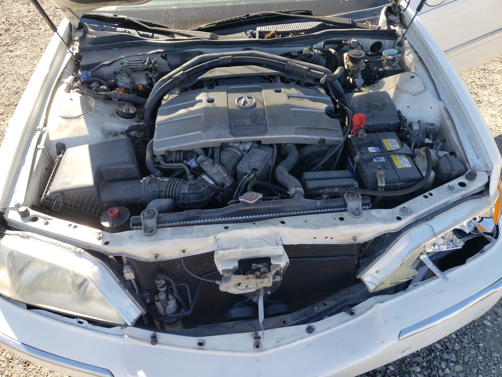 Photo 7 from auction – 1999 ACURA 3.5RL with VIN JH4KA9667XC007637