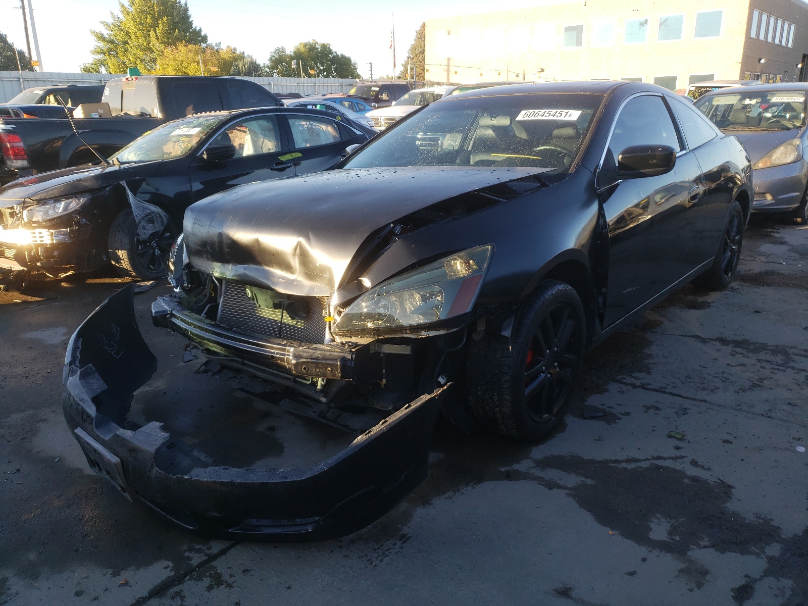 Photo 2 from auction – 2005 HONDA ACCORD EX with VIN 1HGCM81675A014452