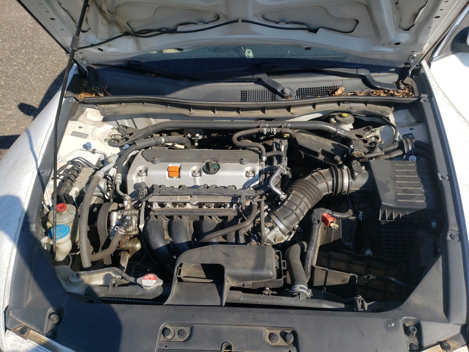 Photo 7 from auction – 2010 HONDA ACCORD EXL with VIN 1HGCS1B87AA006245