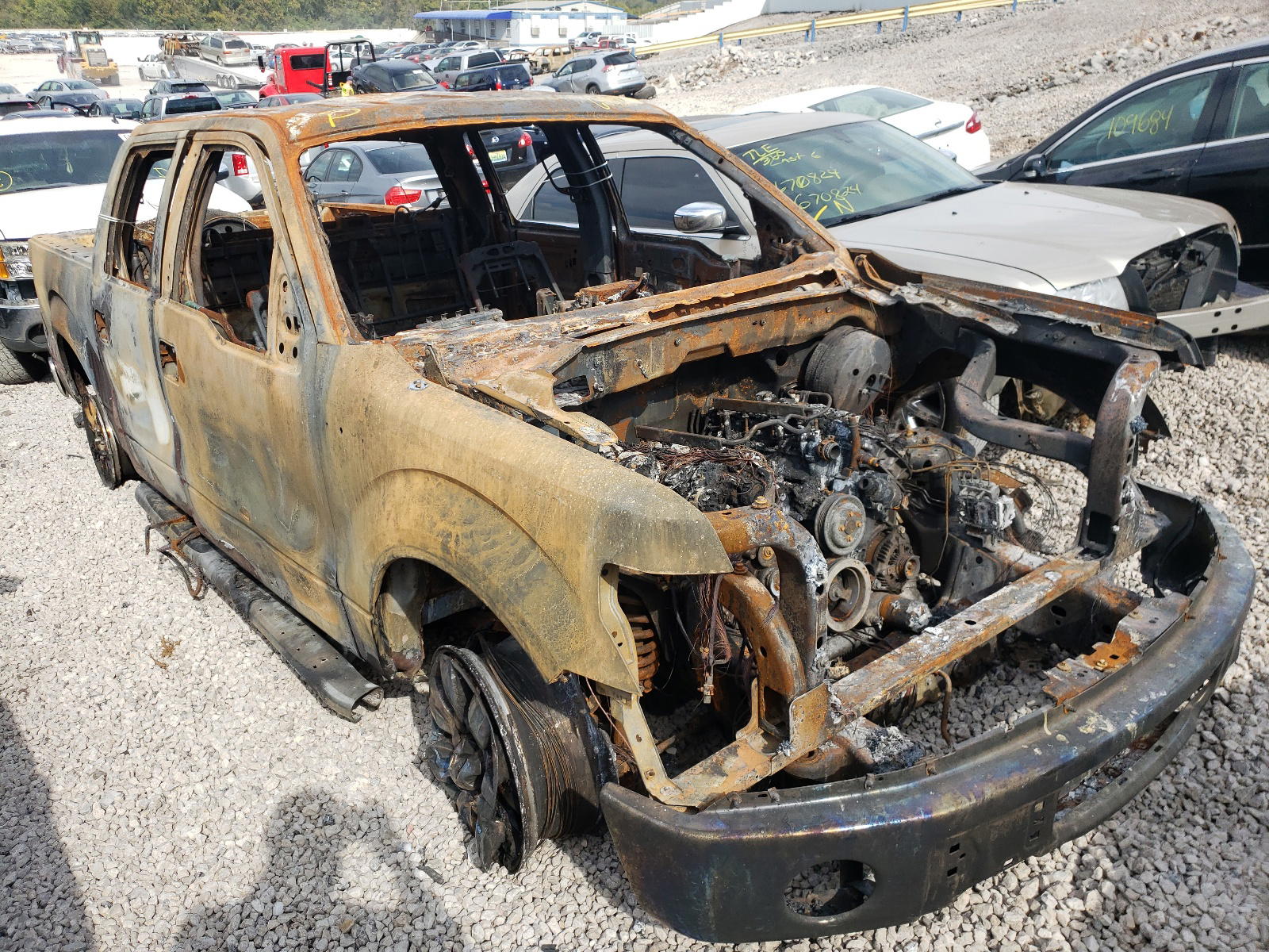 FORD F150 SUPER 2011 with VIN 1FTFW1CF6BKD55342 - Photo from auction