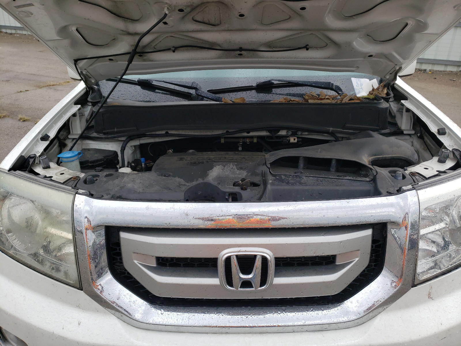 Photo 7 from auction – 2011 HONDA PILOT EXL with VIN 5FNYF4H5XBB049929