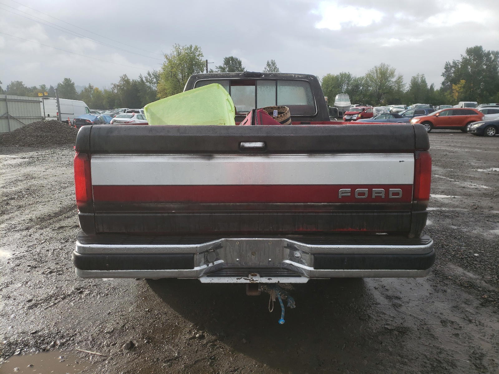 Photo 6 from auction – 1990 FORD F150 with VIN 1FTEF14N8LPB40183