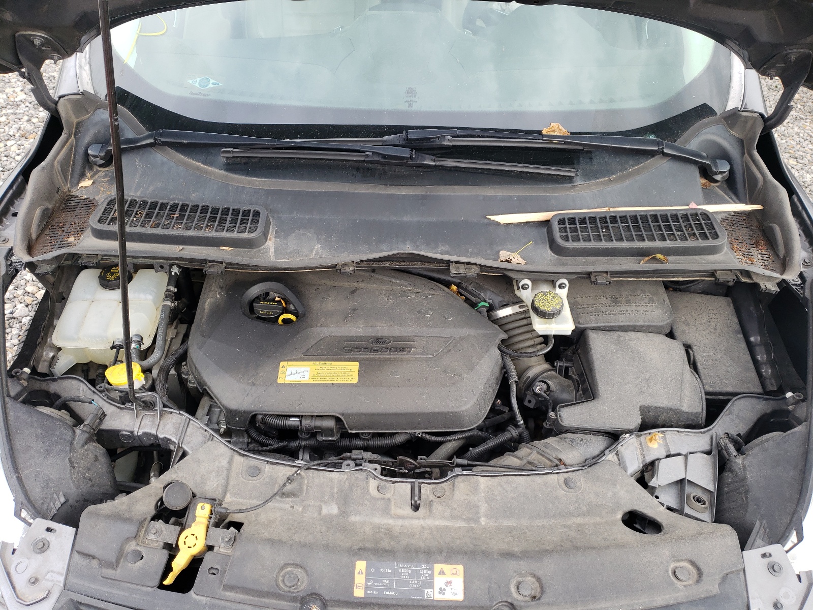 Photo 7 from auction – 2014 FORD ESCAPE SE with VIN 1FMCU9GX8EUA62105