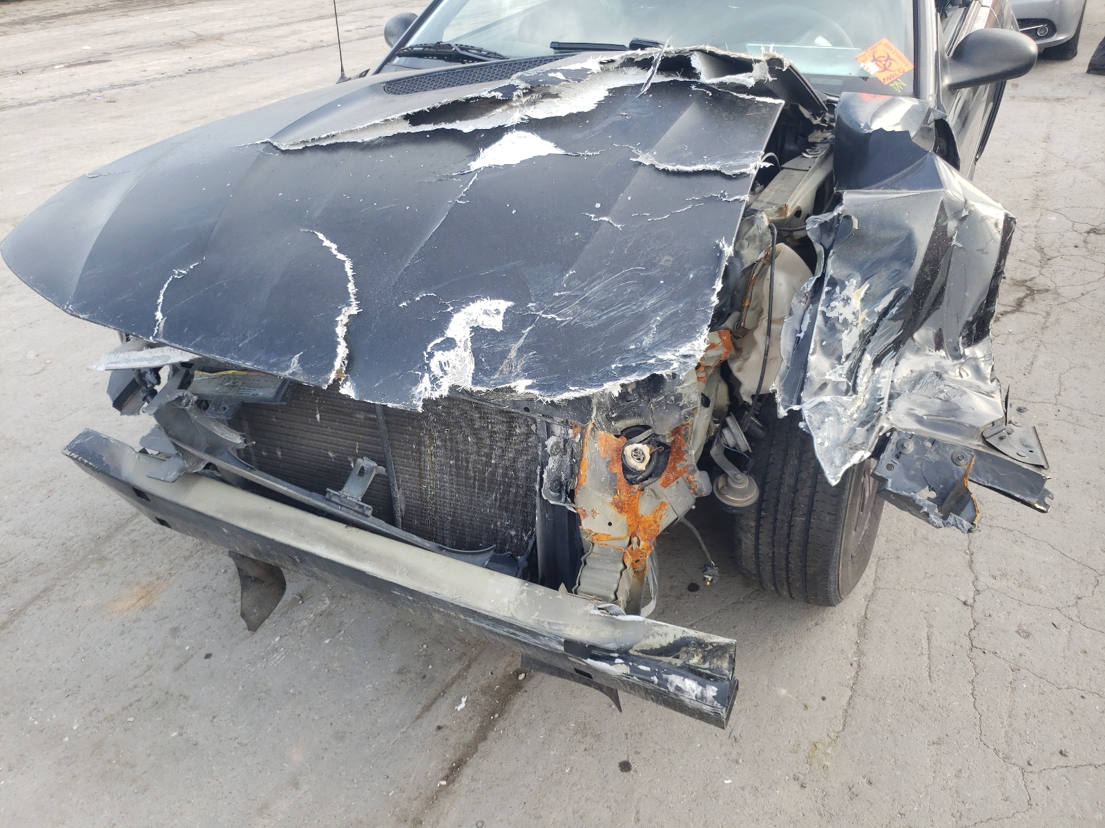 Photo 9 from auction – 2001 FORD MUSTANG with VIN 1FAFP404X1F154865