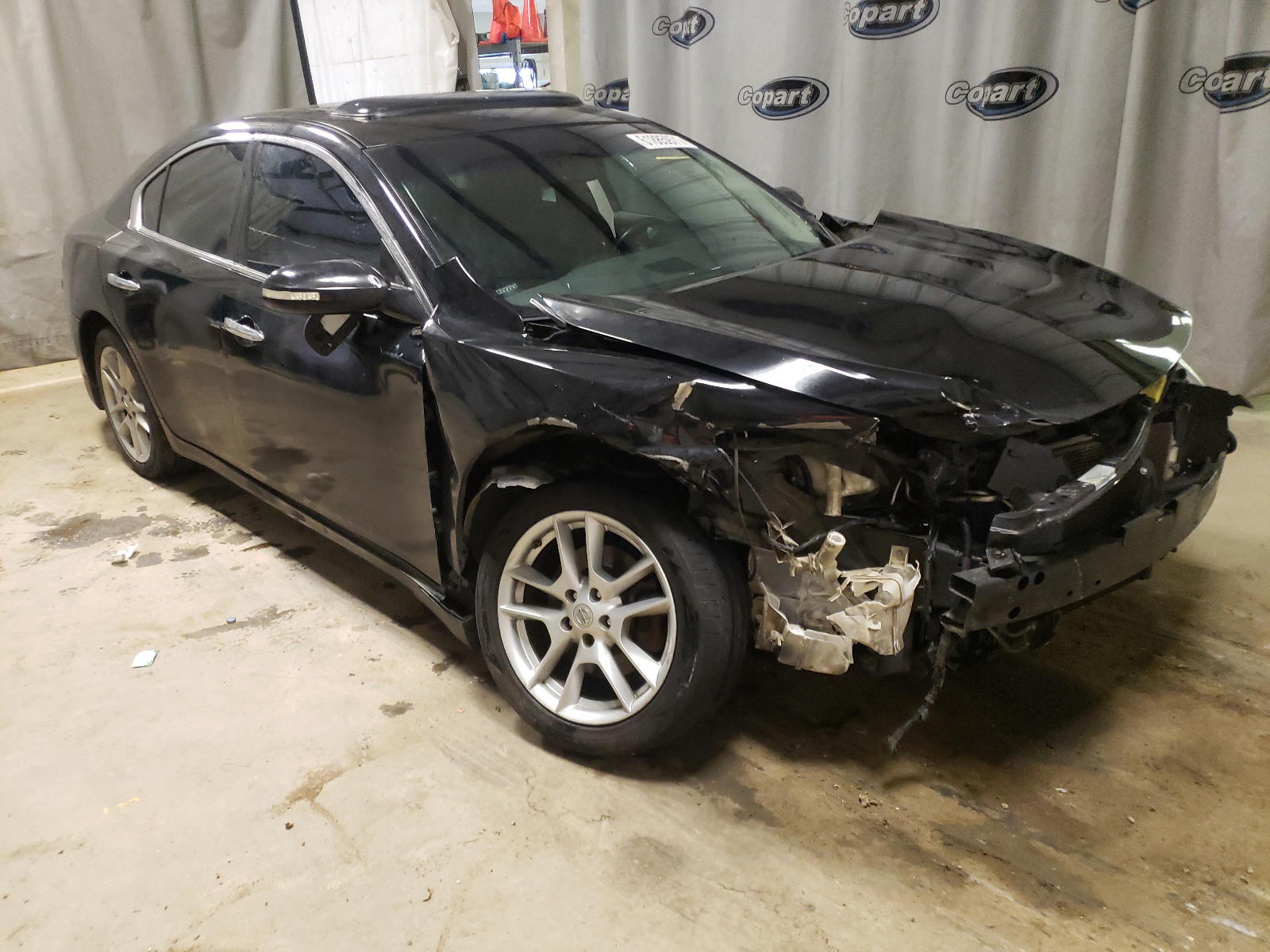 NISSAN MAXIMA S 2011 with VIN 1N4AA5AP1BC835770 - Photo from auction