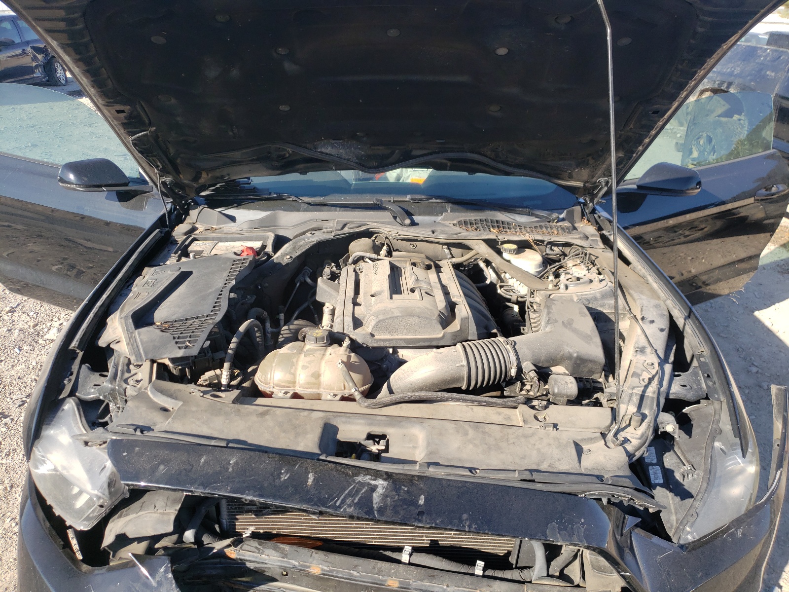 Photo 7 from auction – 2015 FORD MUSTANG with VIN 1FATP8UH3F5404418