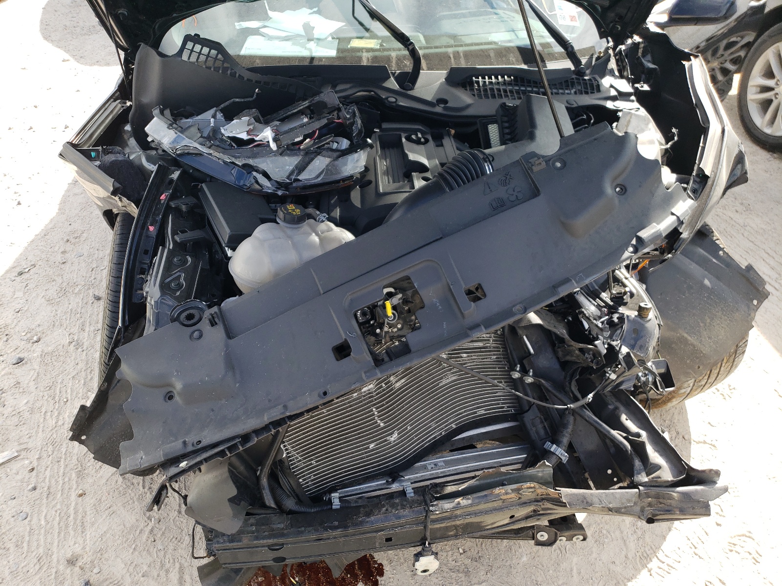 Photo 7 from auction – 2019 FORD MUSTANG with VIN 1FA6P8TH1K5200094