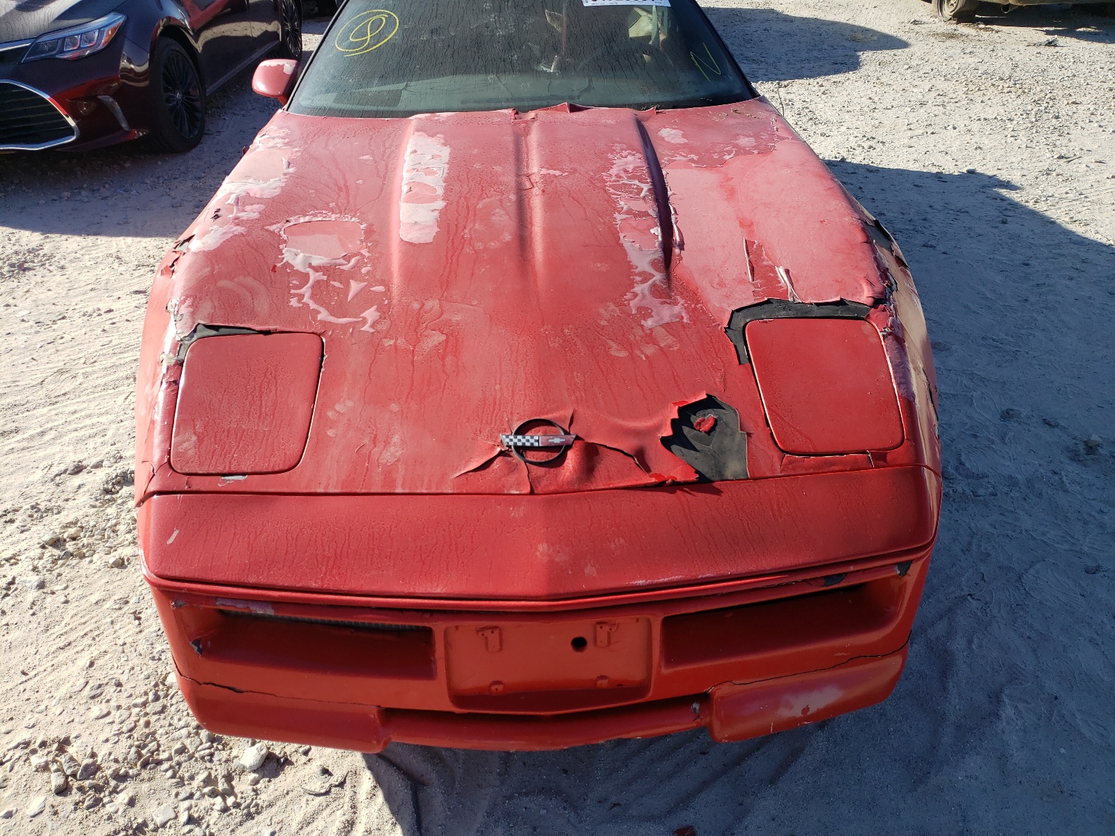 Photo 10 from auction – 1984 CHEVROLET CORVETTE with VIN 1G1AY0783E5101089
