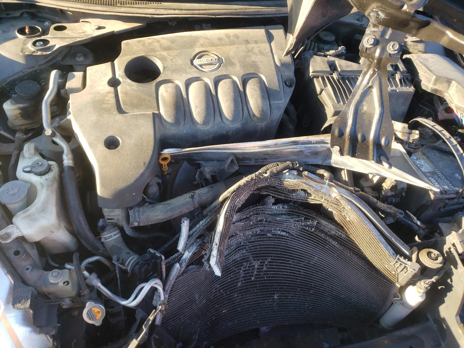 Photo 7 from auction – 2010 NISSAN ALTIMA BAS with VIN 1N4AL2AP1AC143273