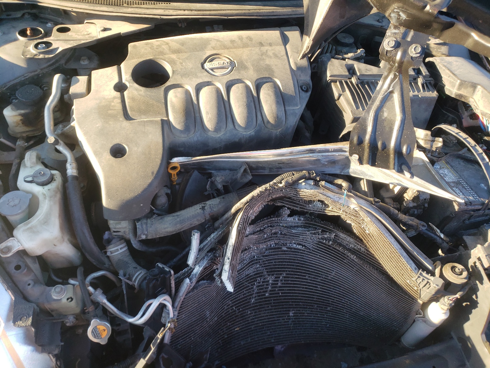 Фото 7 с аукциона – 2010 NISSAN ALTIMA BAS с VIN 1N4AL2AP1AC143273