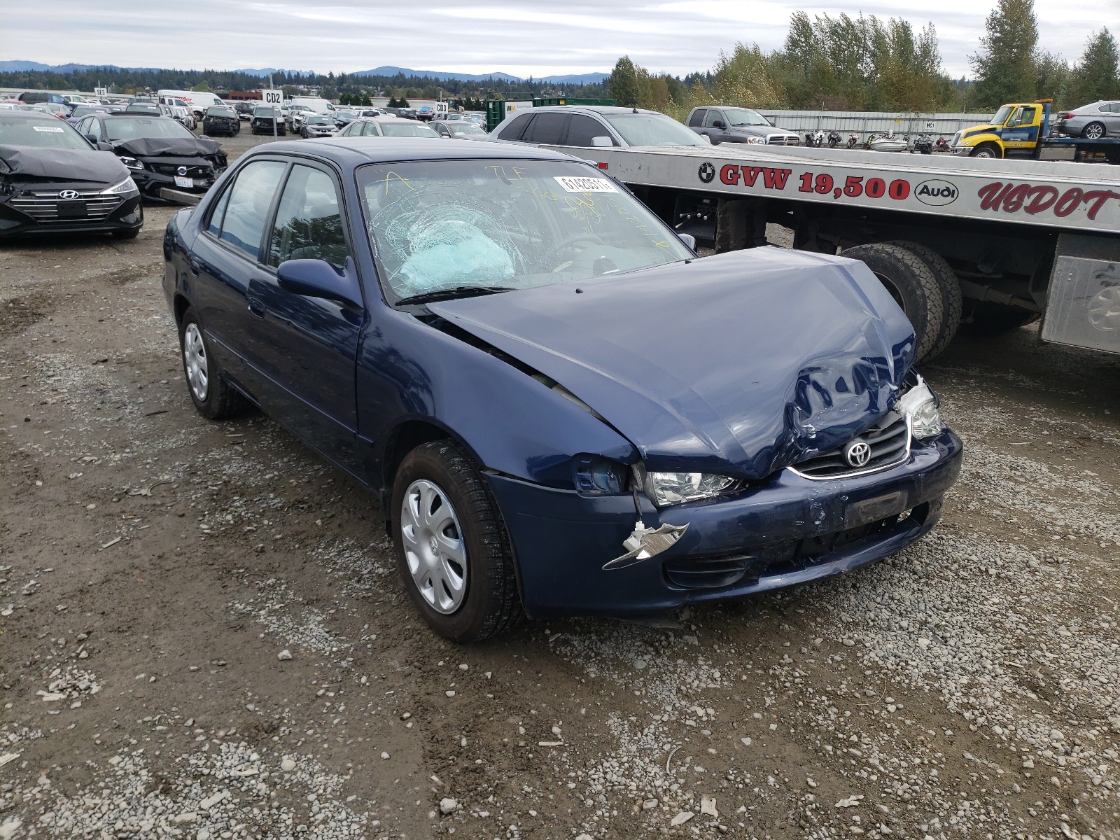 TOYOTA COROLLA CE 2002 with VIN 1NXBR12EX2Z643556 - Photo from auction