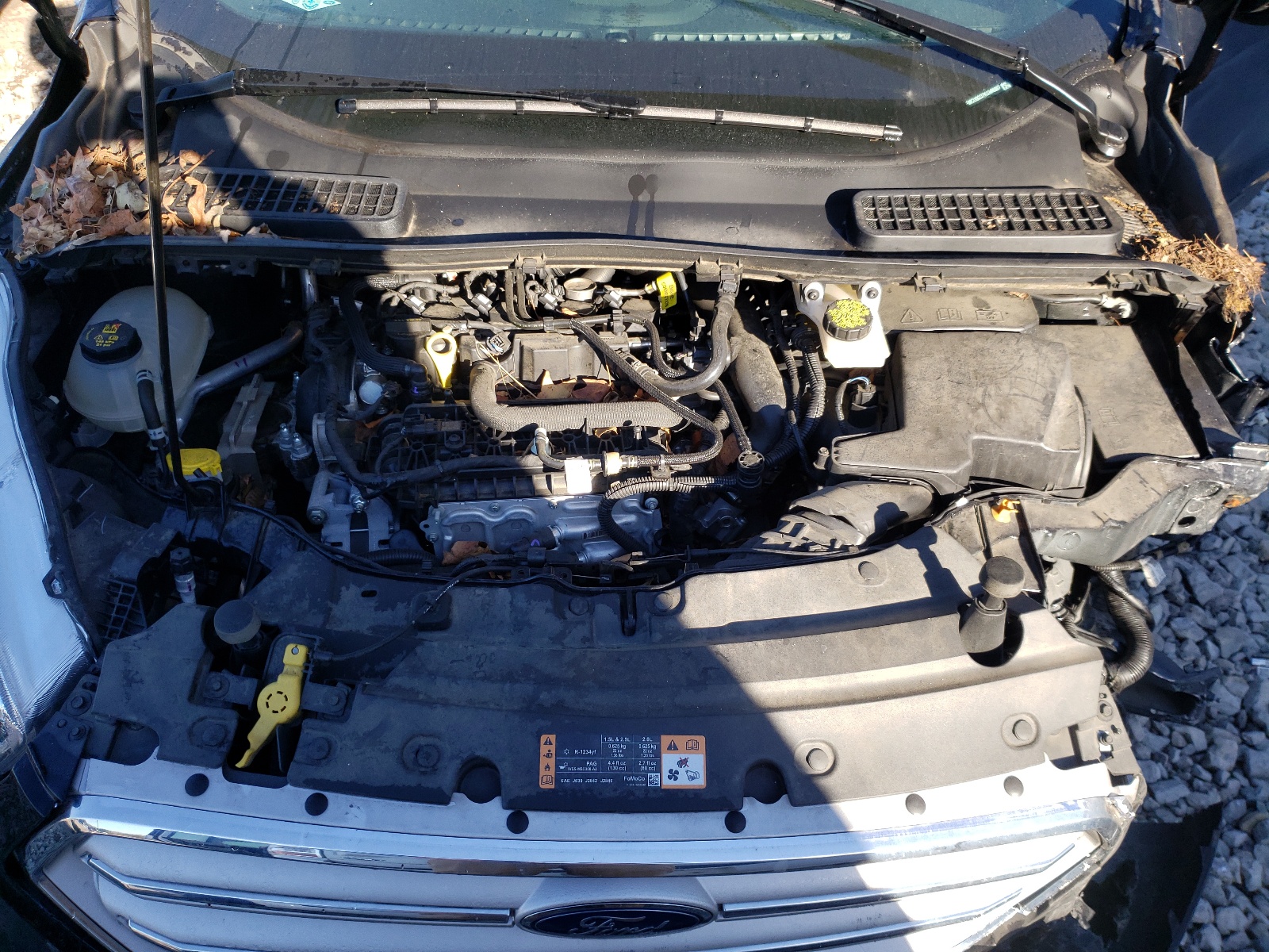 Photo 7 from auction – 2019 FORD ESCAPE SE with VIN 1FMCU0GD7KUA60987