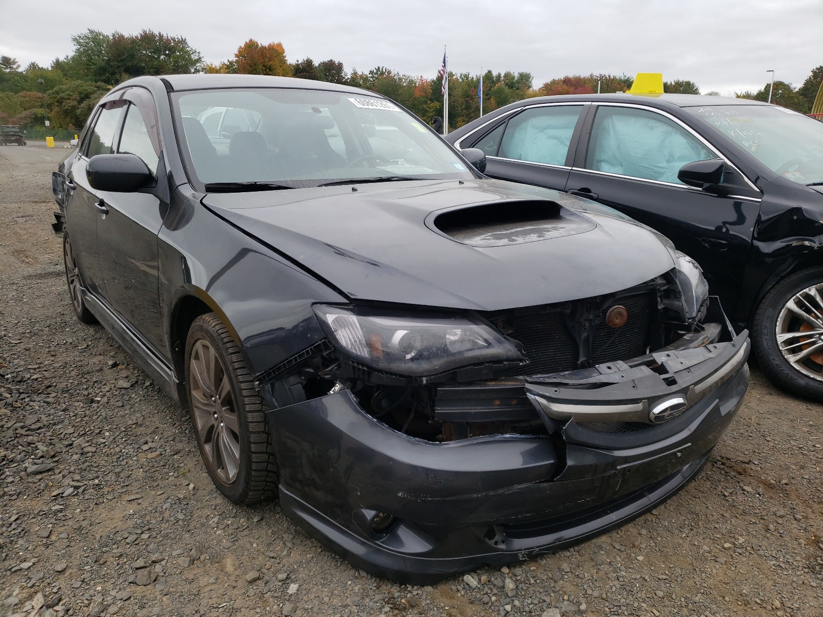 SUBARU IMPREZA WR 2010 with VIN JF1GE7G61AG512142 - Photo from auction