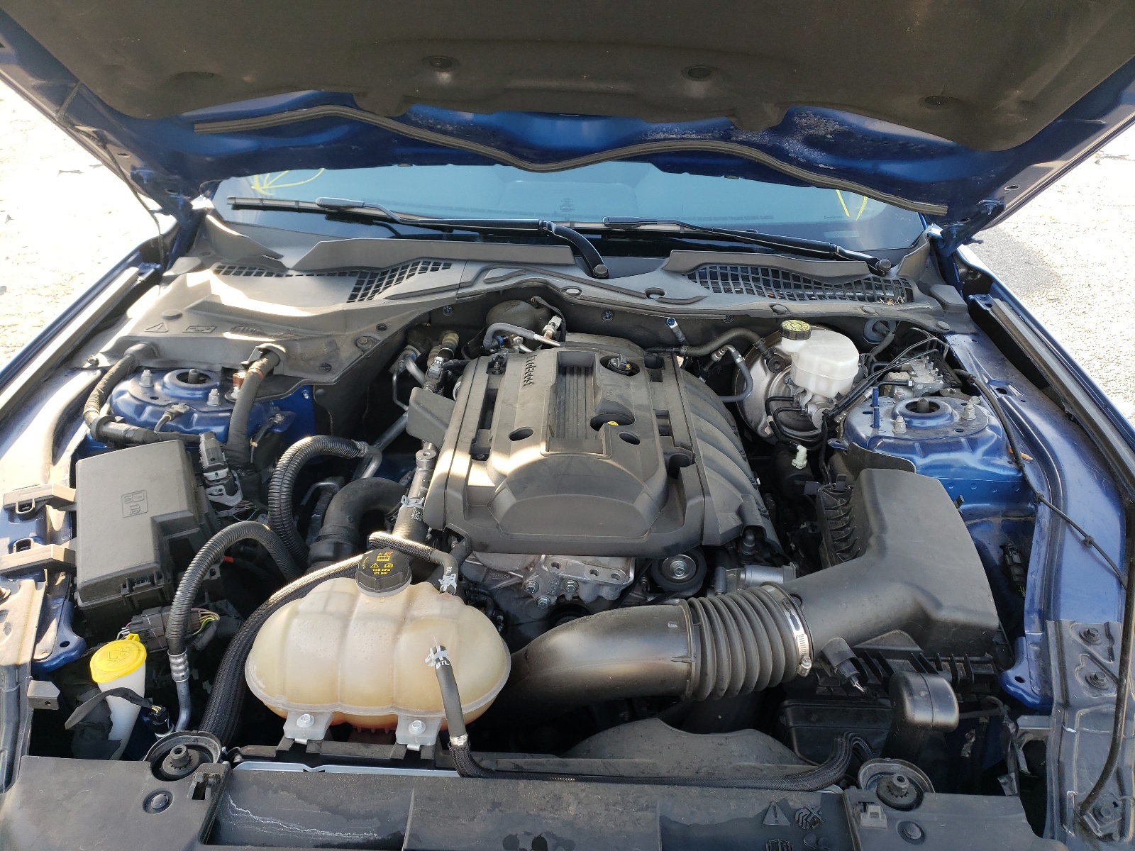 Photo 7 from auction – 2018 FORD MUSTANG with VIN 1FA6P8TH5J5184688