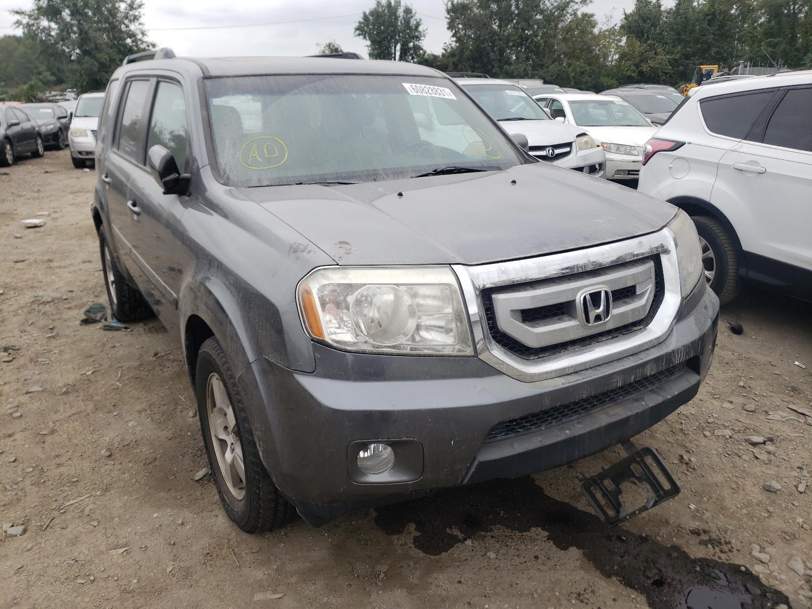 HONDA PILOT EXL 2011 with VIN 5FNYF4H59BB090956 - Photo from auction
