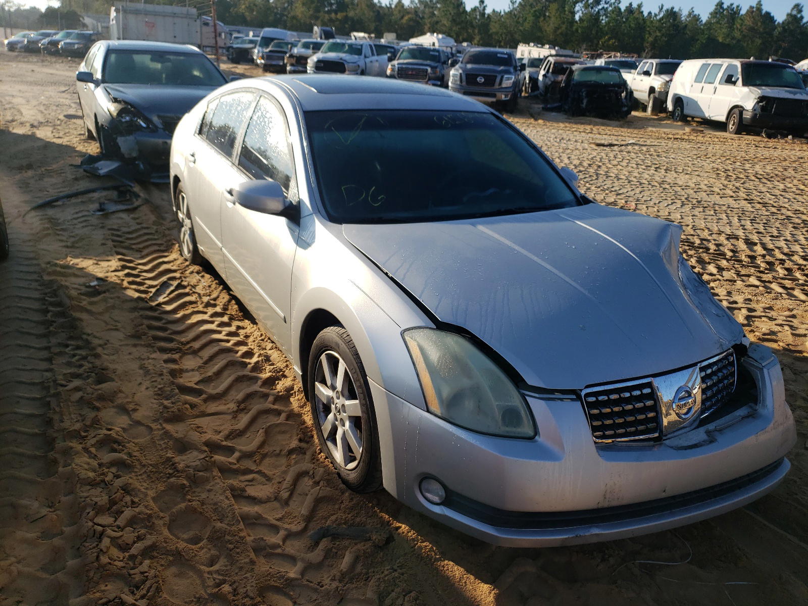 NISSAN MAXIMA SE 2005 with VIN 1N4BA41E15C803595 - Photo from auction