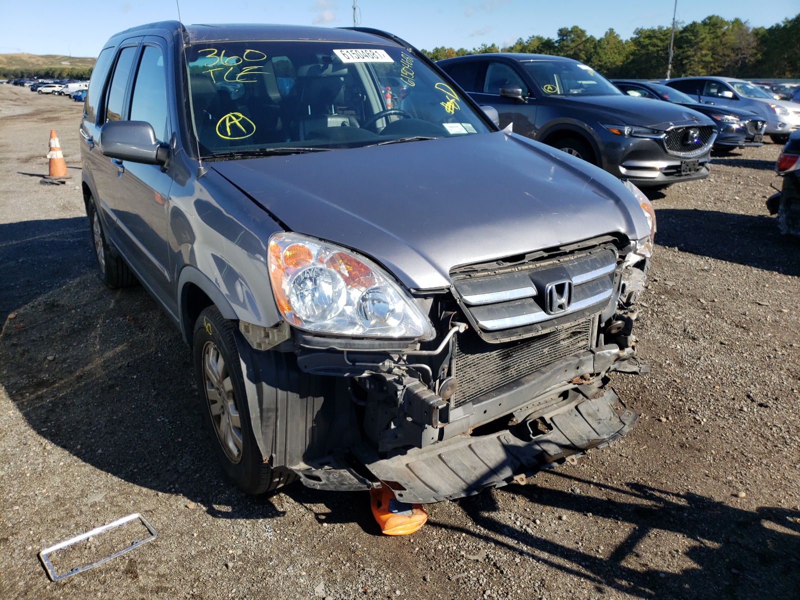 HONDA CR-V SE 2006 with VIN JHLRD78976C045664 - Photo from auction