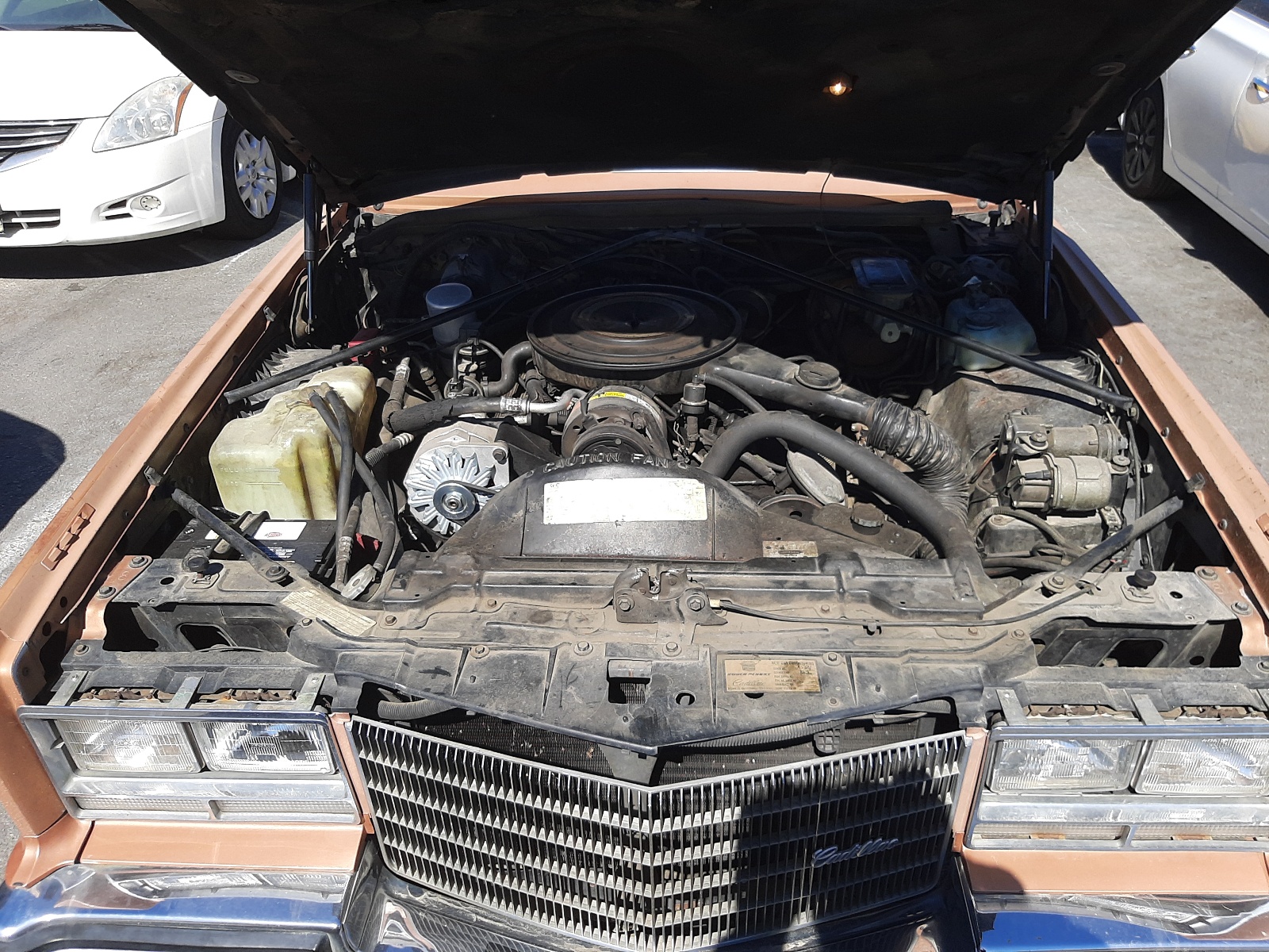 Фото 7 с аукциона – 1984 CADILLAC ELDORADO с VIN 1G6AL578XEE632473