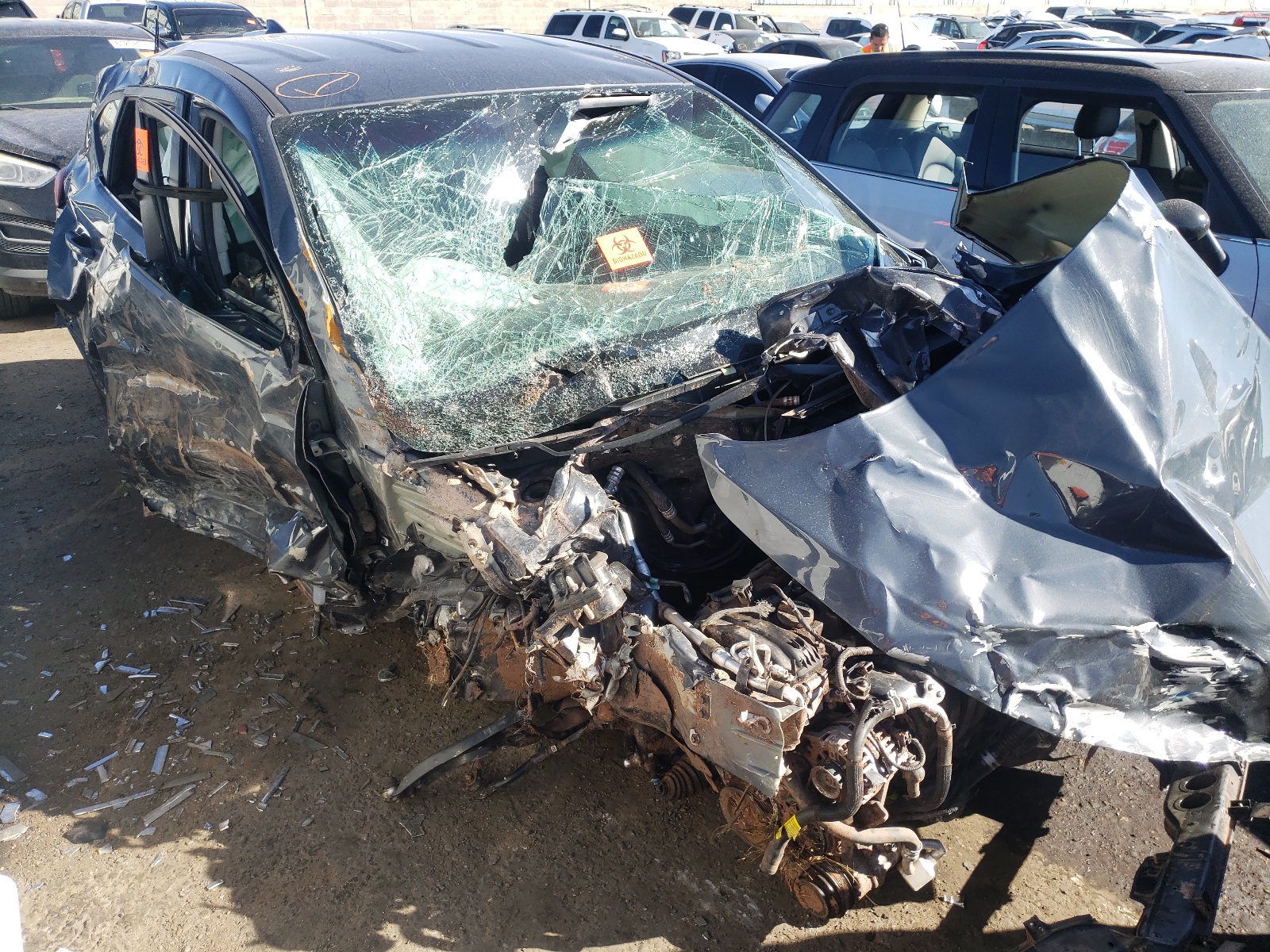 HYUNDAI TUCSON SE 2019 with VIN KM8J2CA47KU047468 - Photo from auction