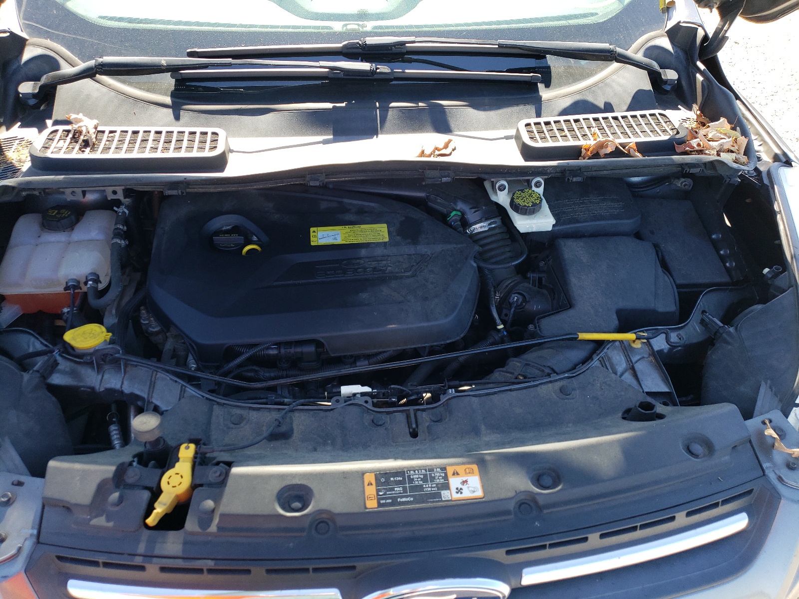 Photo 9 from auction – 2014 FORD ESCAPE SE with VIN 1FMCU0GX3EUB81434
