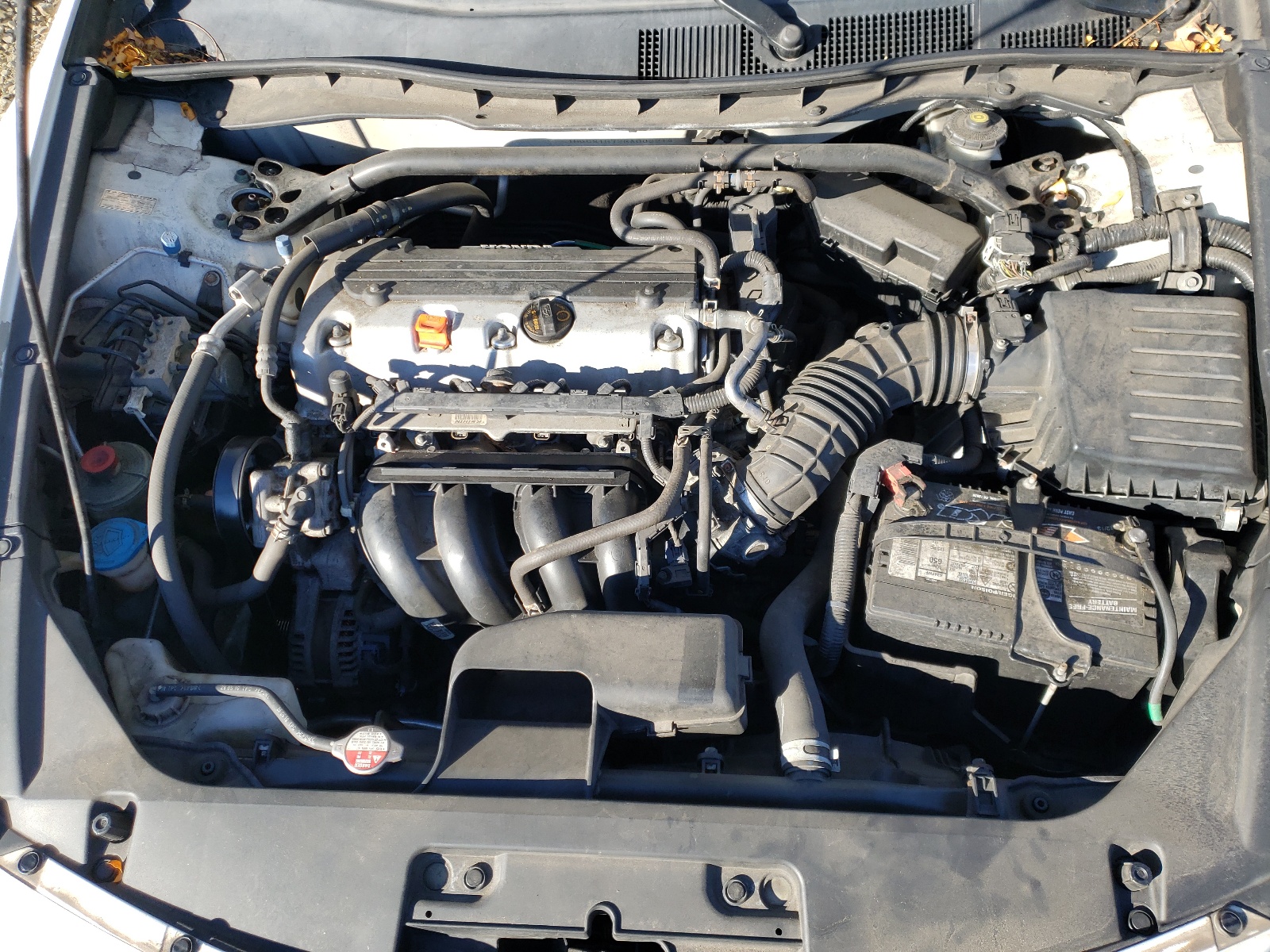 Photo 7 from auction – 2011 HONDA ACCORD EX with VIN 1HGCS1B72BA003214