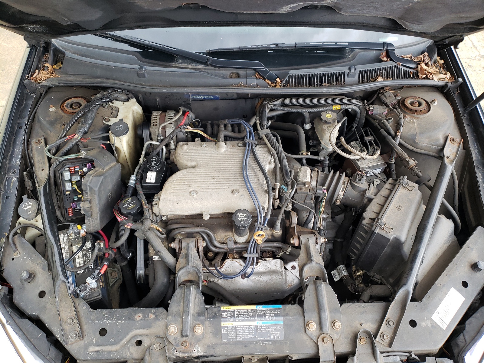 Photo 7 from auction – 2009 CHEVROLET IMPALA POL with VIN 2G1WS57M591299960