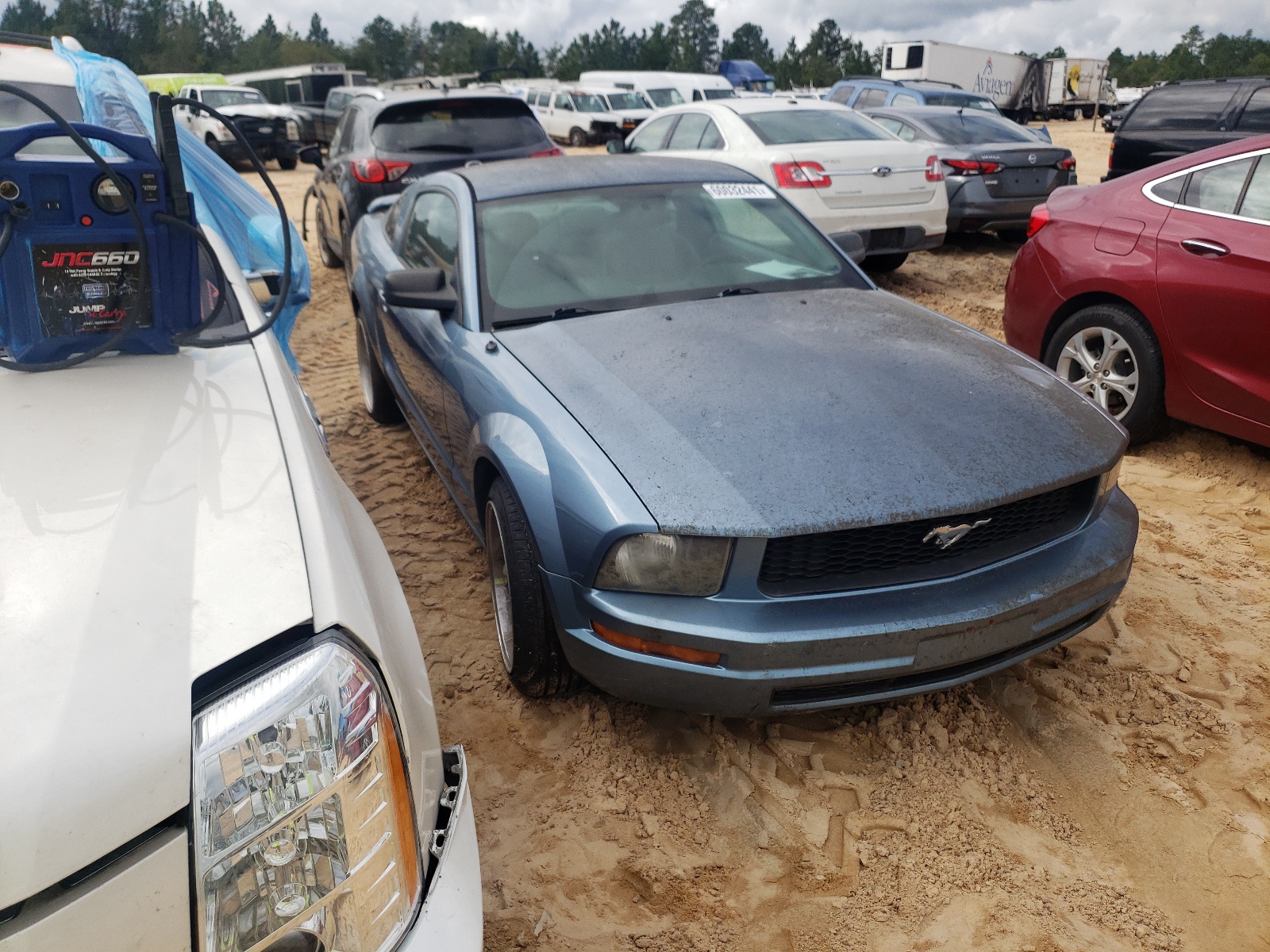 FORD MUSTANG 2006 with VIN 1ZVFT80N765161935 - Photo from auction