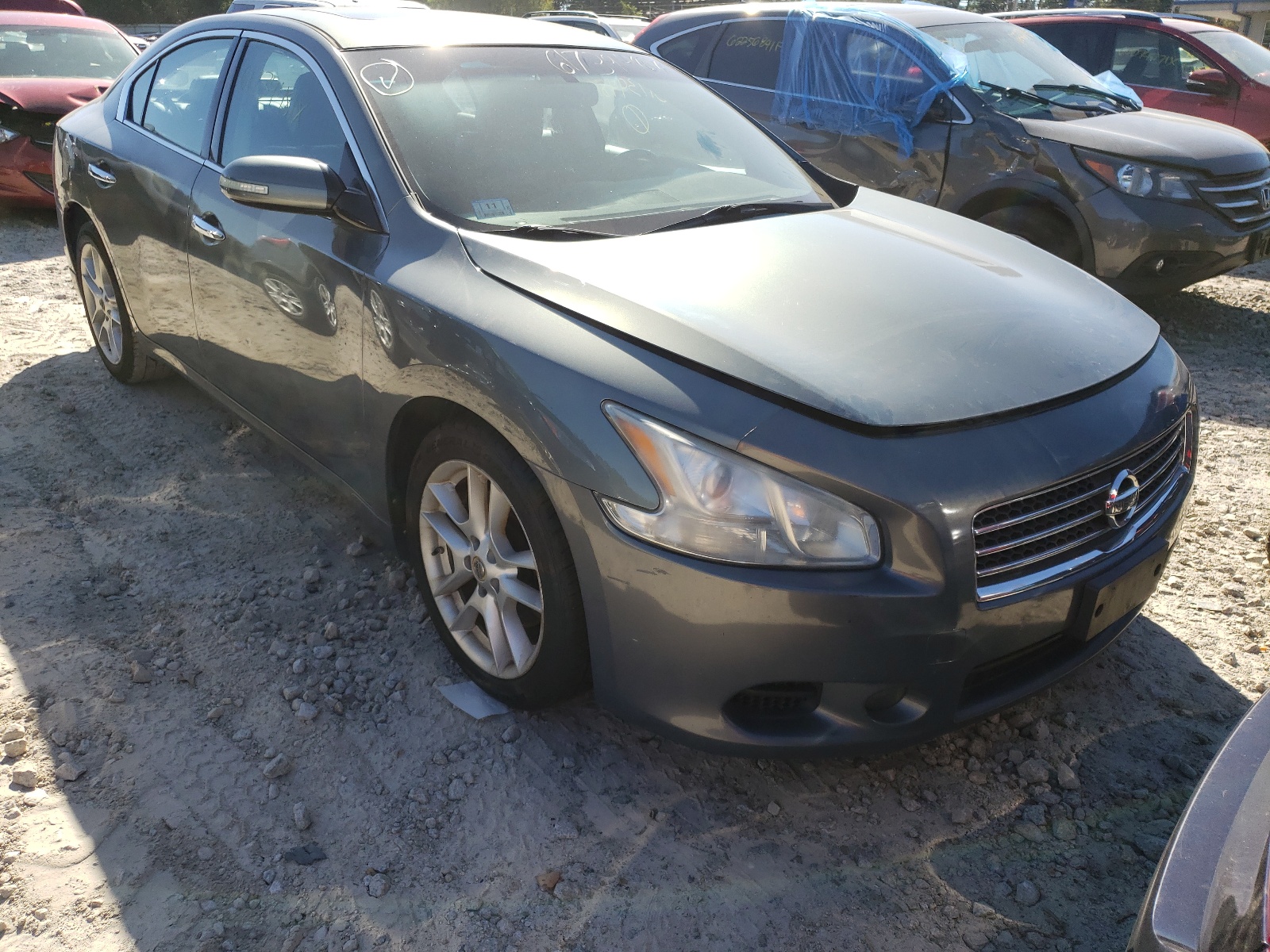 NISSAN MAXIMA S 2010 with VIN 1N4AA5APXAC807898 - Photo from auction