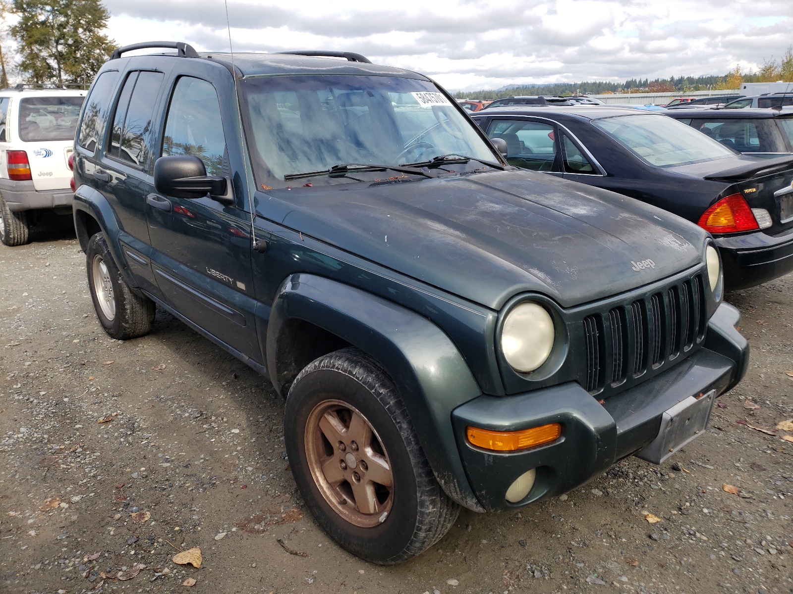 JEEP LIBERTY LI 2002 with VIN 1J8GL58KX2W251769 - Photo from auction