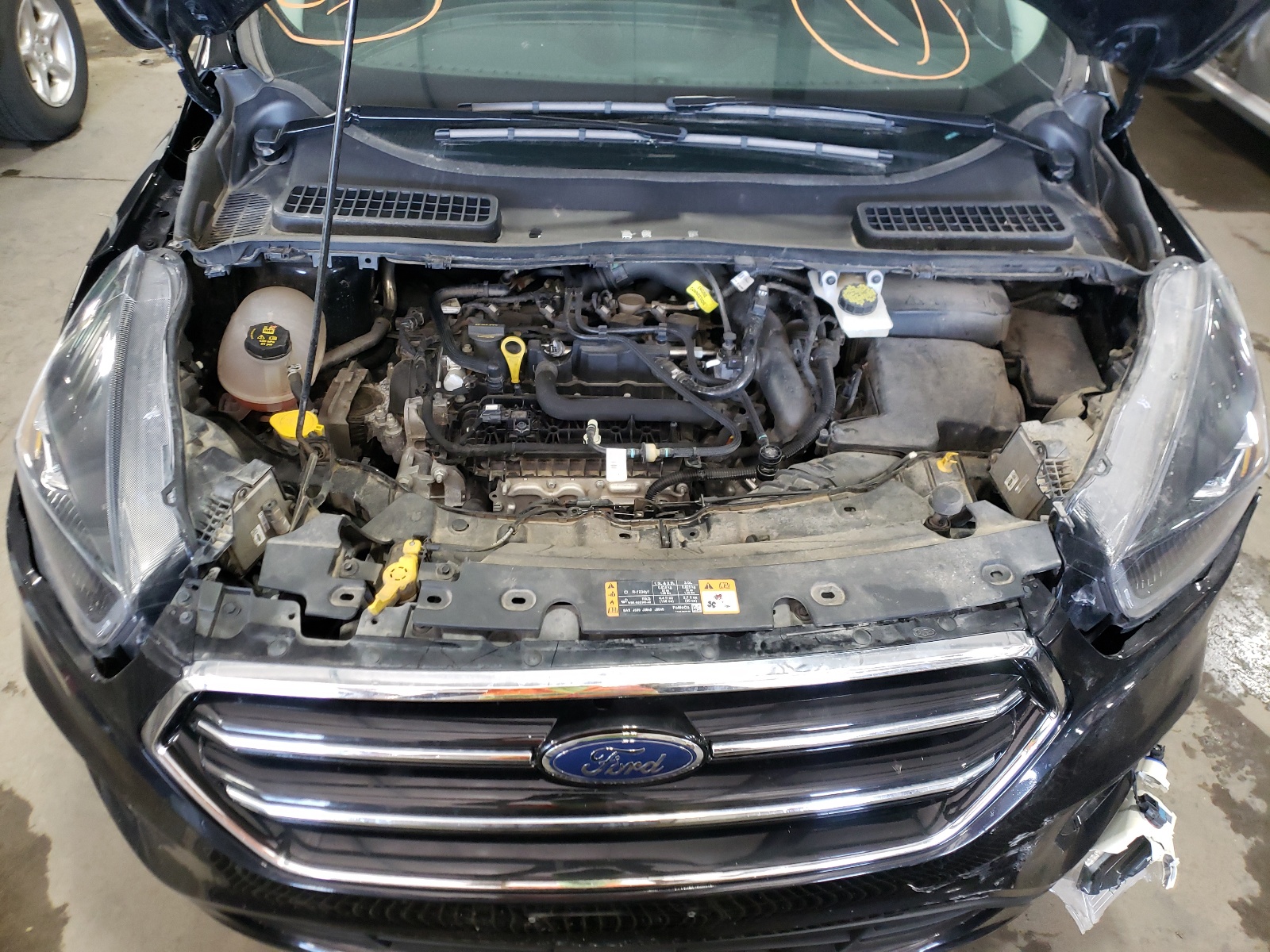 Photo 7 from auction – 2019 FORD ESCAPE SE with VIN 1FMCU0GD5KUC05881