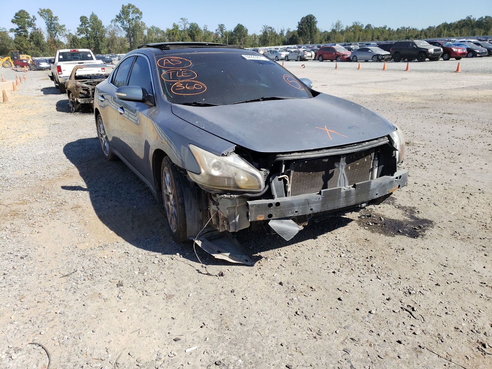 NISSAN MAXIMA S 2010 with VIN 1N4AA5AP6AC831096 - Photo from auction