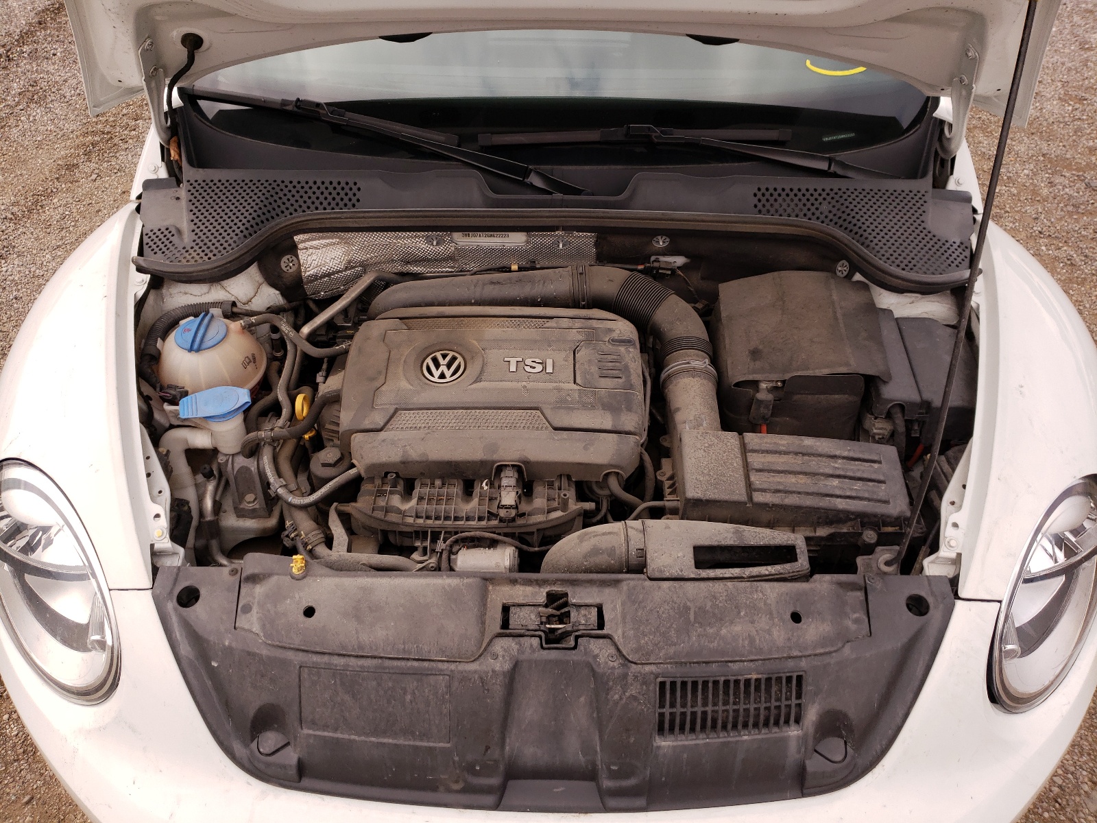 Photo 7 from auction – 2016 VOLKSWAGEN BEETLE SE with VIN 3VWJ07AT2GM622223